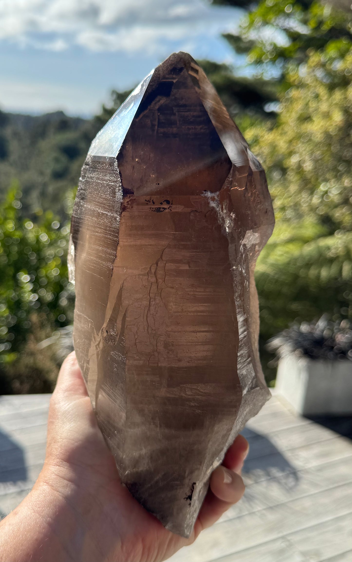 Natural Smoky Morion Quartz