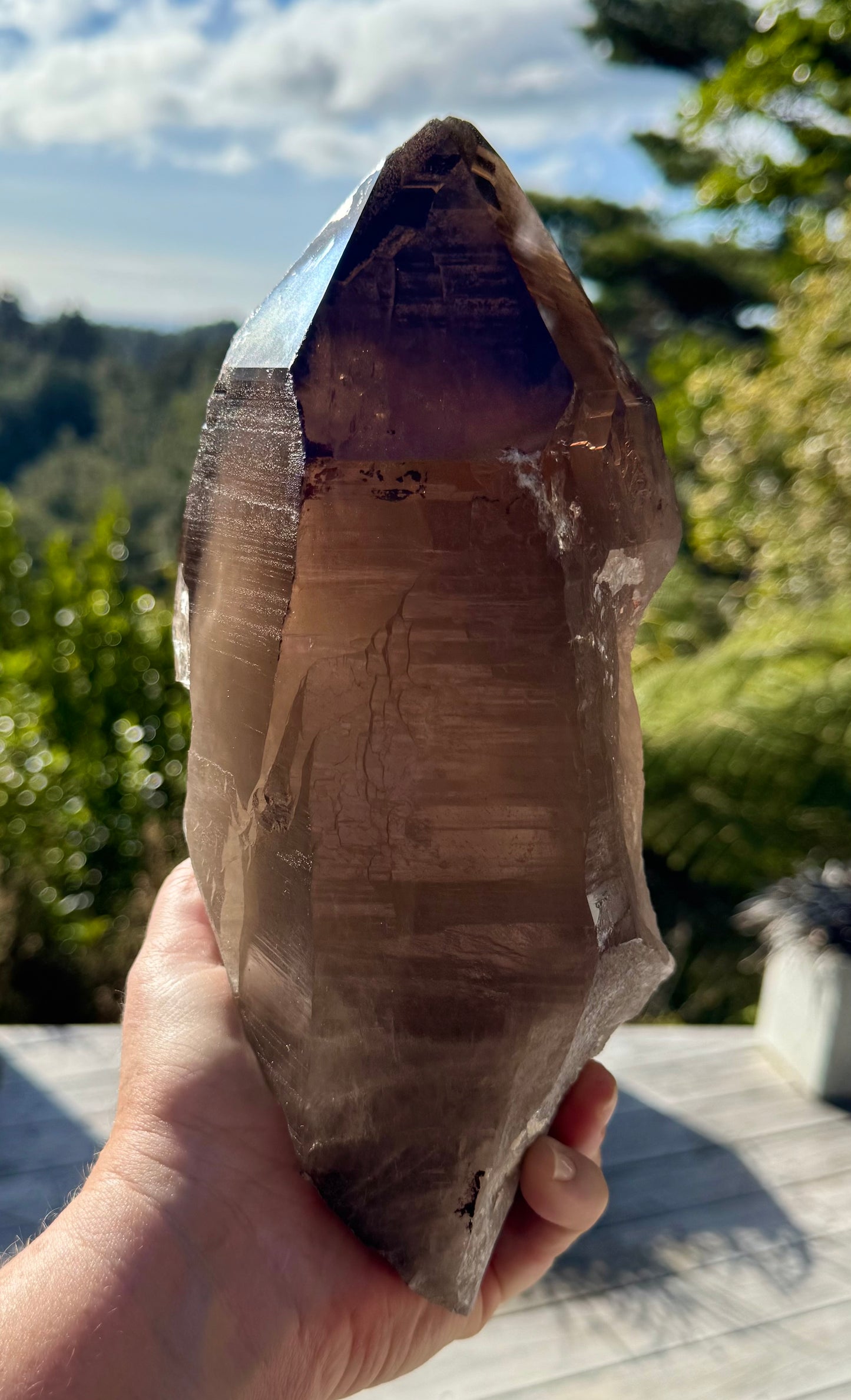 Natural Smoky Morion Quartz