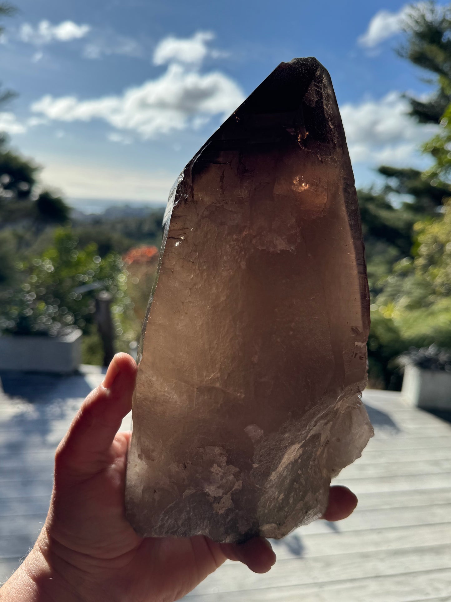 Natural Smoky Morion Quartz