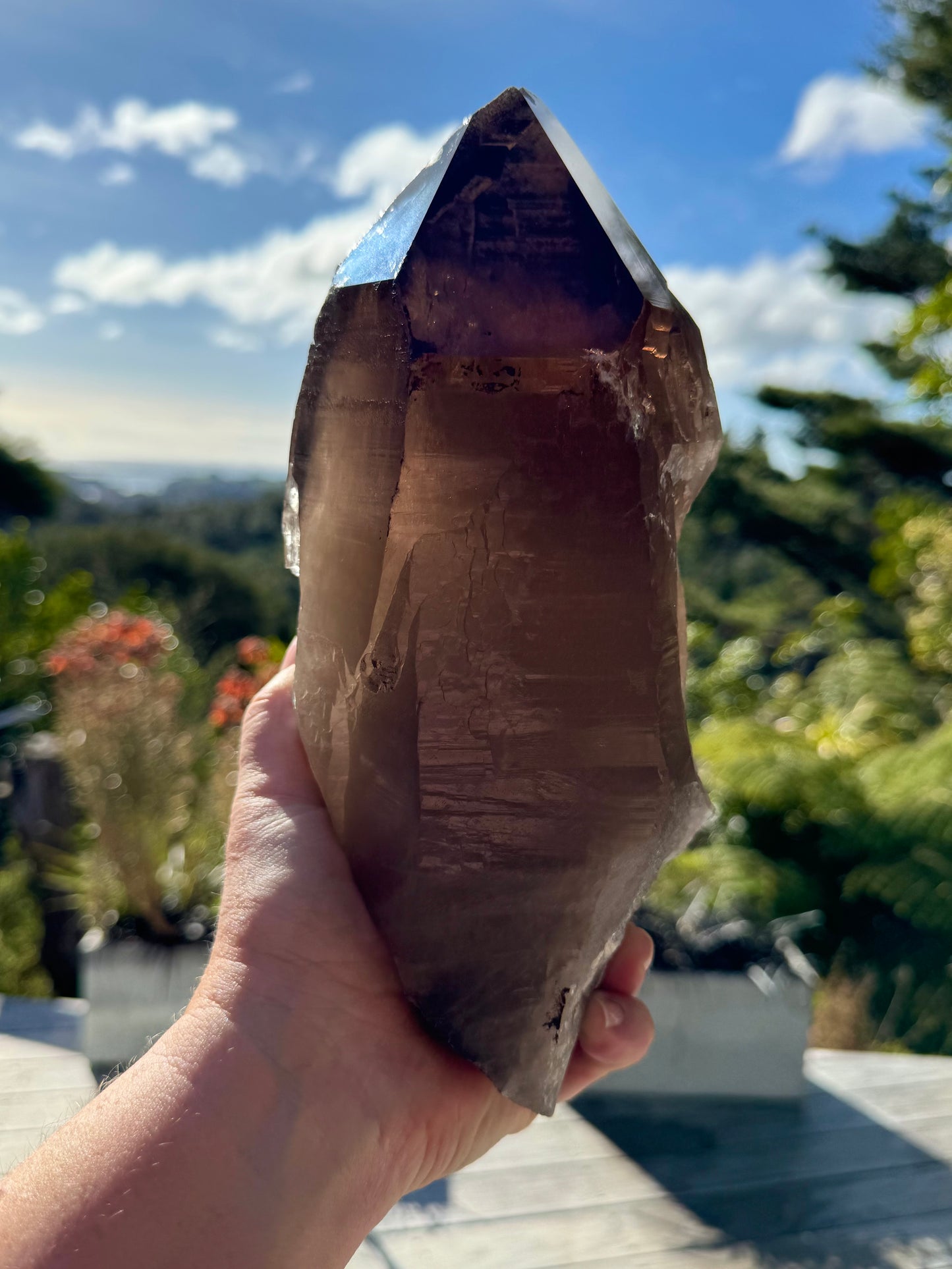 Natural Smoky Morion Quartz