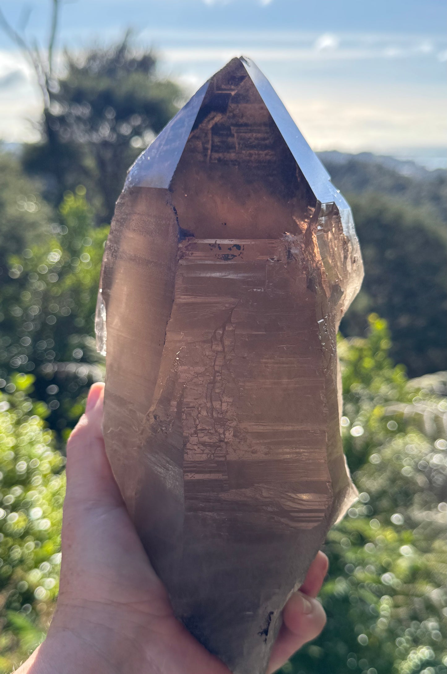 Natural Smoky Morion Quartz