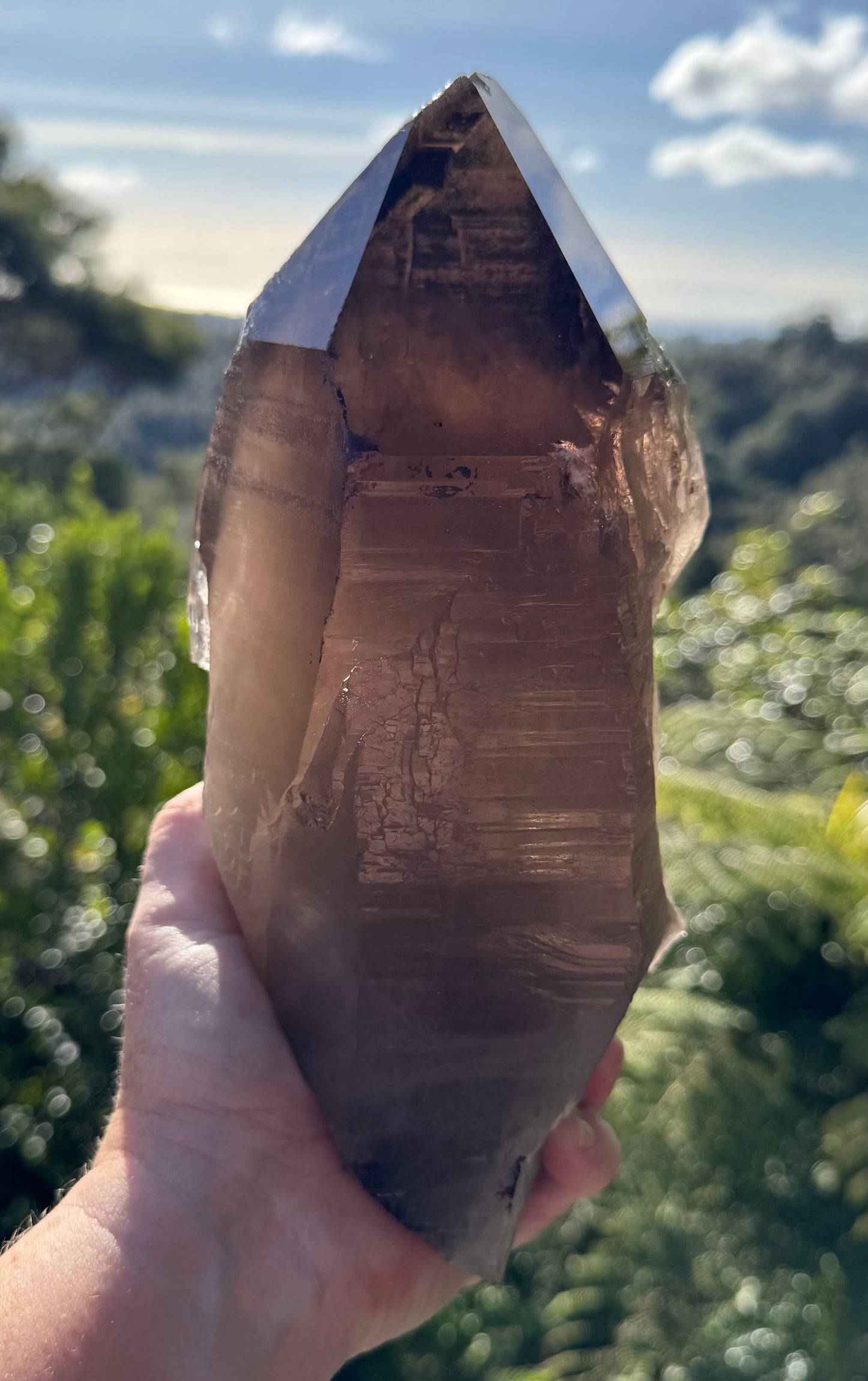 Natural Smoky Morion Quartz