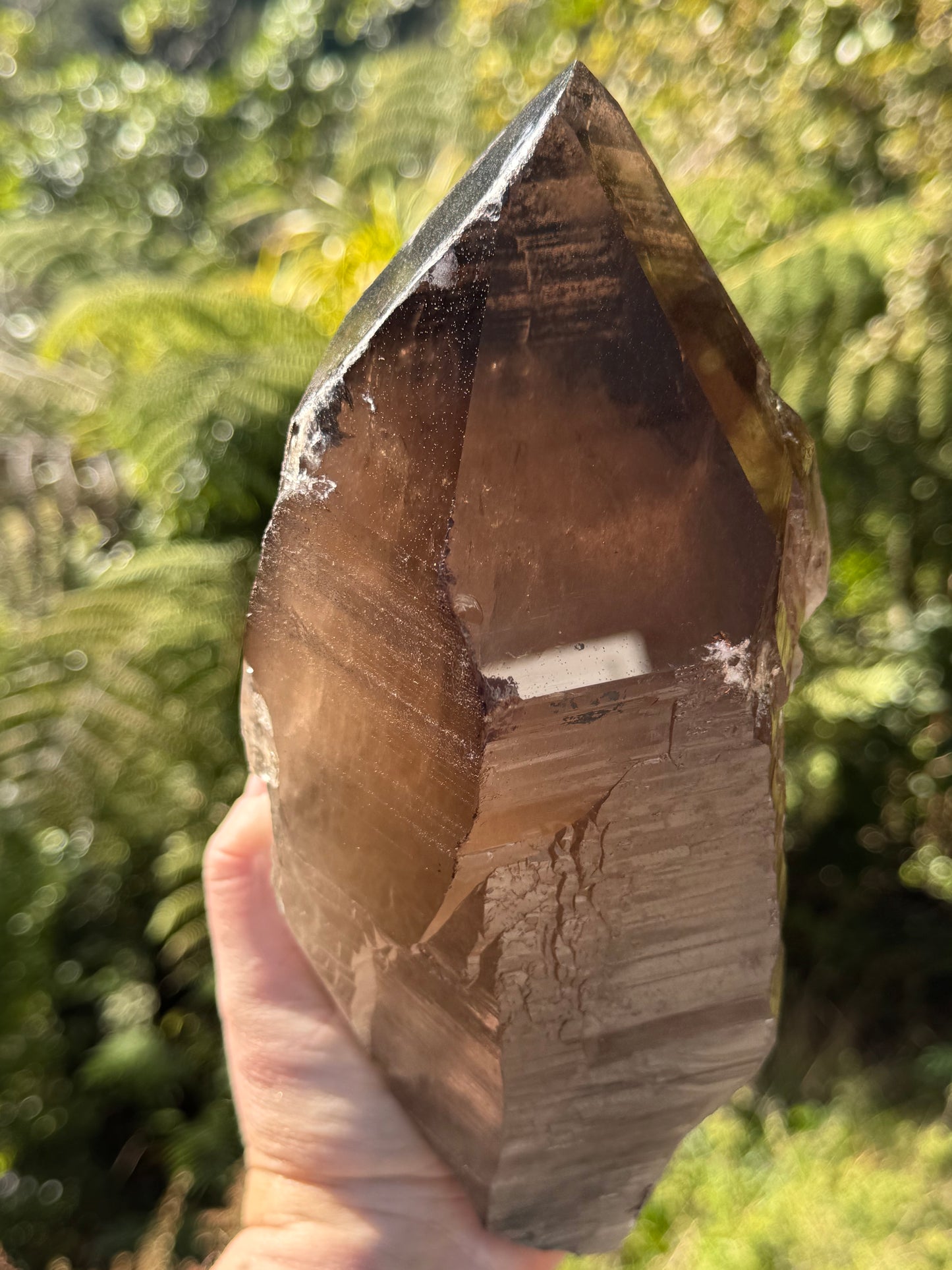 Natural Smoky Morion Quartz