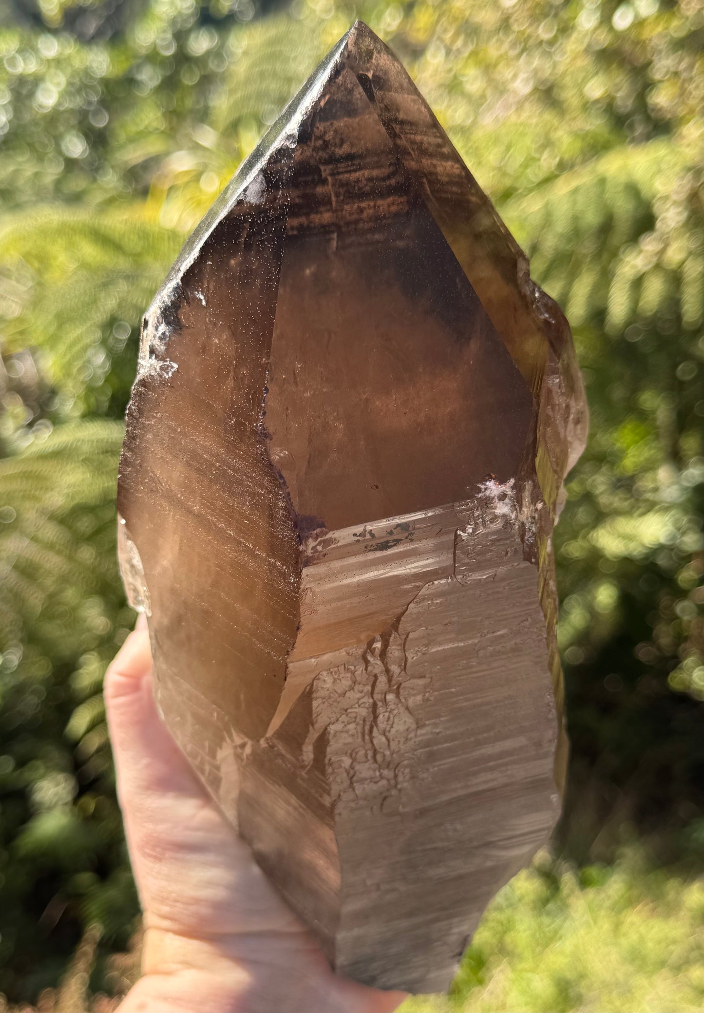 Natural Smoky Morion Quartz