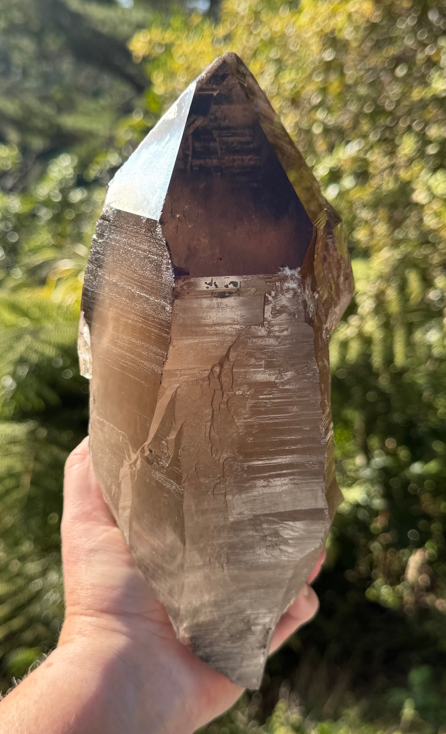 Natural Smoky Morion Quartz