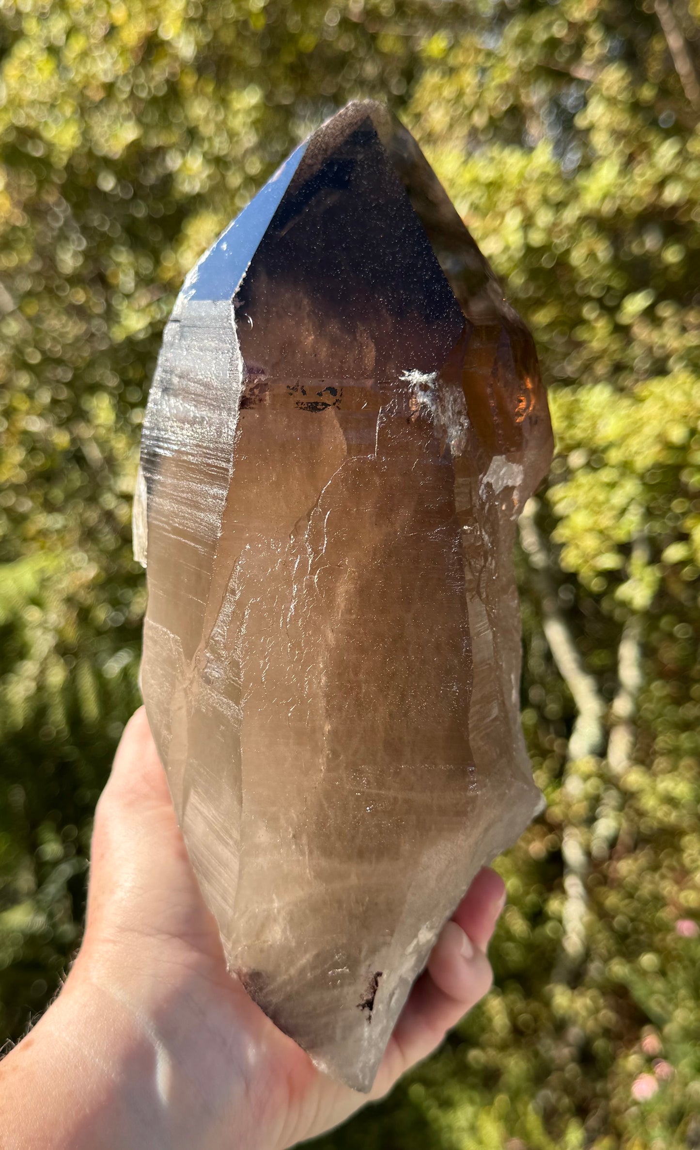 Natural Smoky Morion Quartz