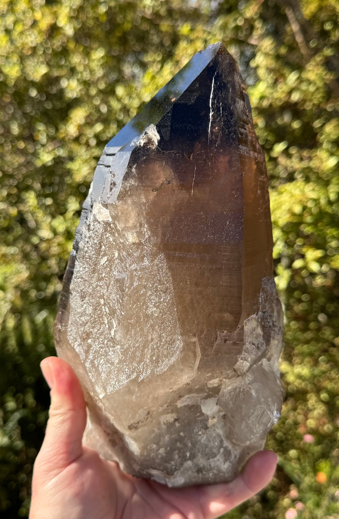 Natural Smoky Morion Quartz