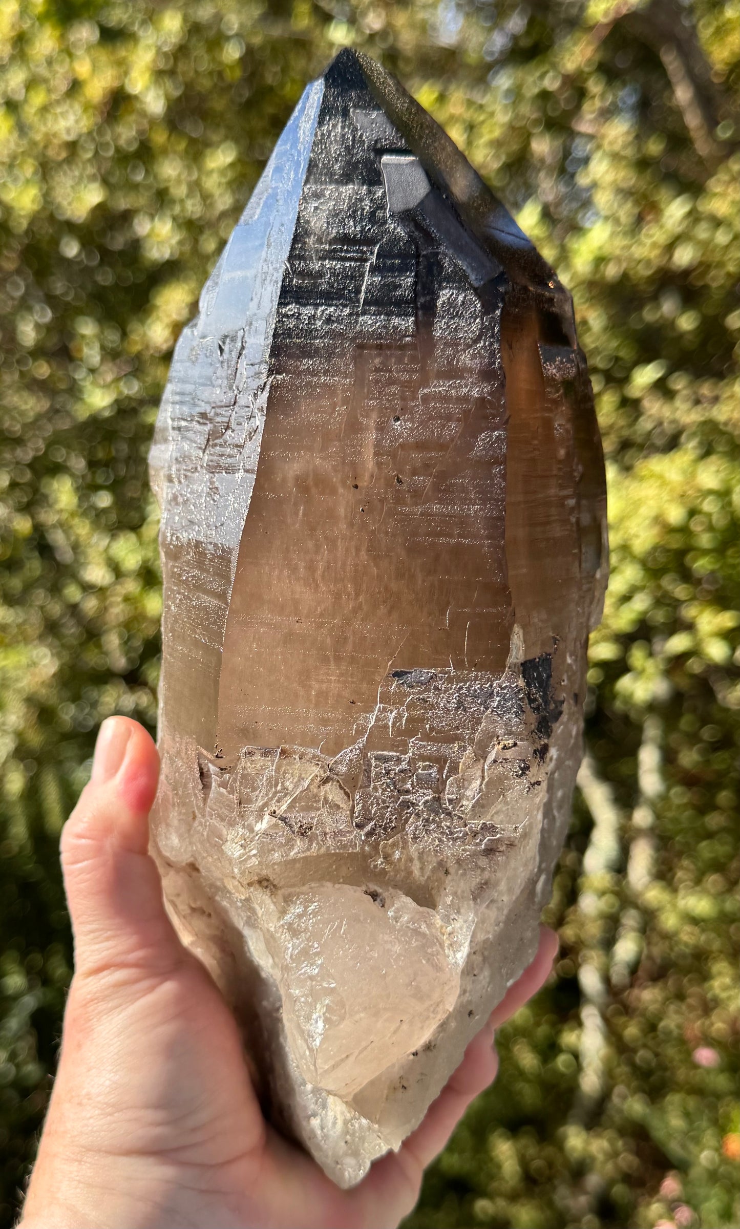 Natural Smoky Morion Quartz