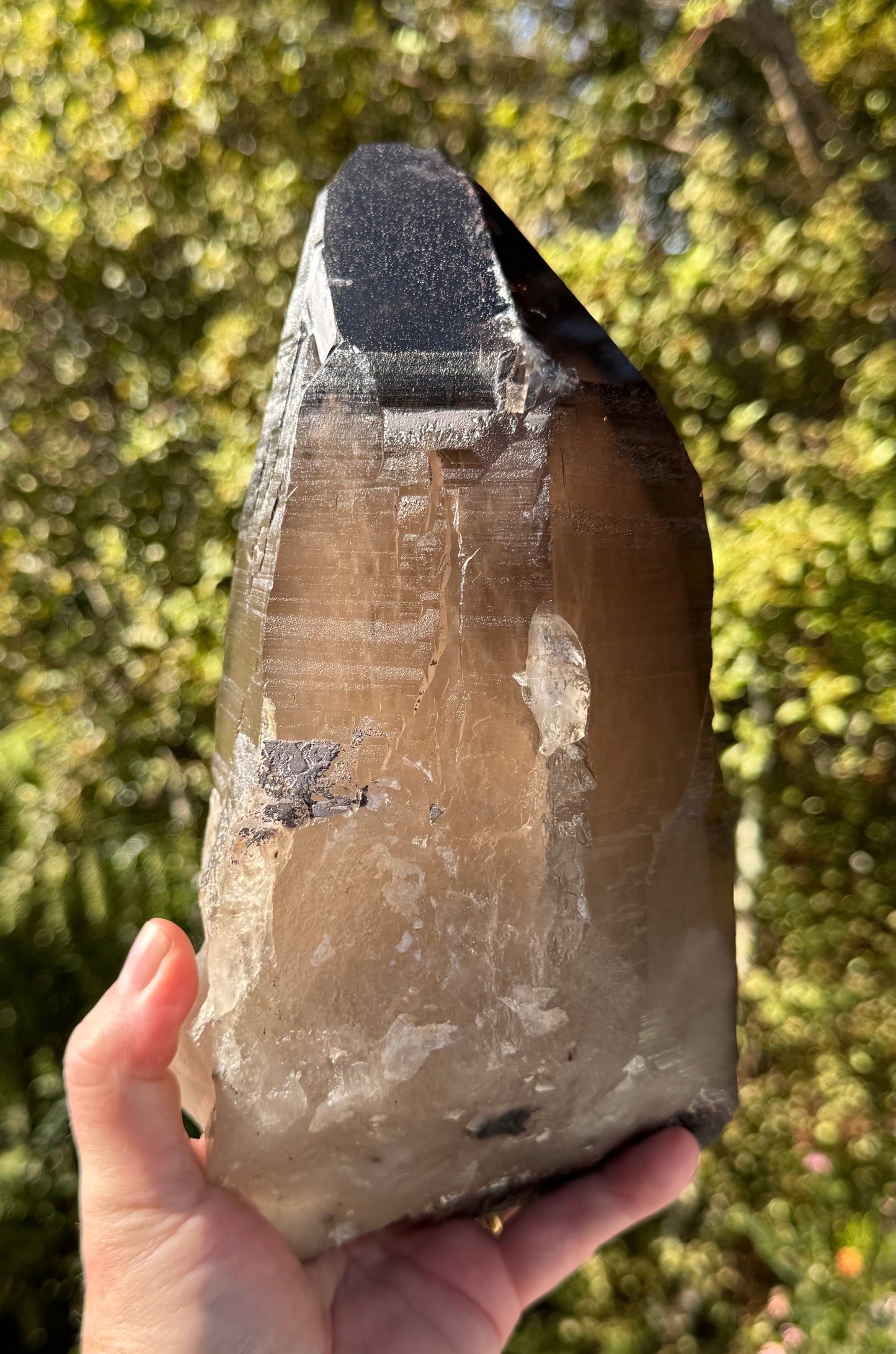 Natural Smoky Morion Quartz