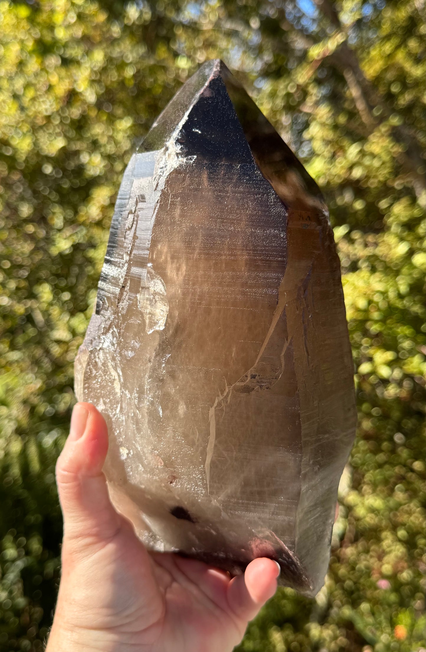 Natural Smoky Morion Quartz