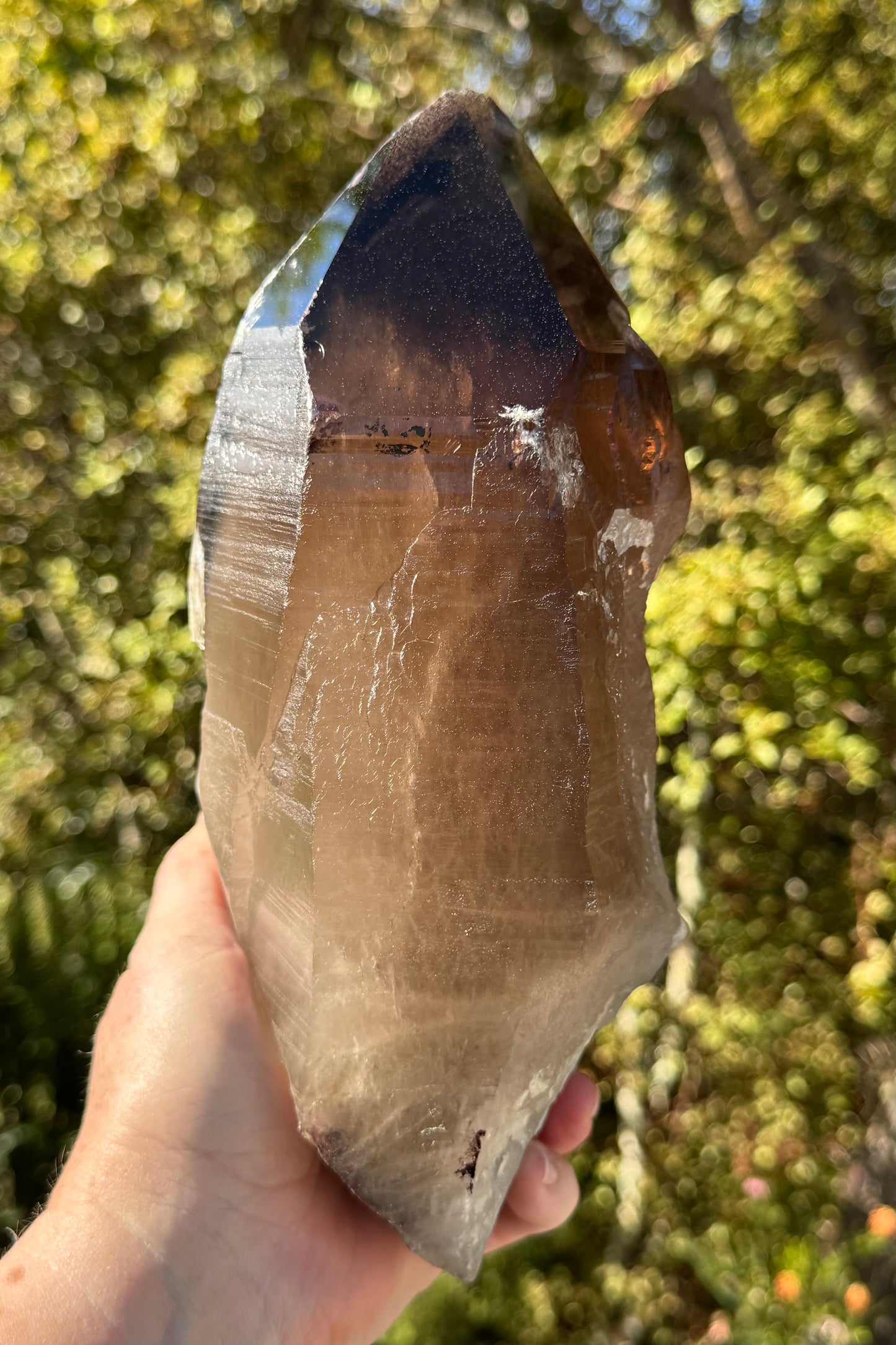 Natural Smoky Morion Quartz
