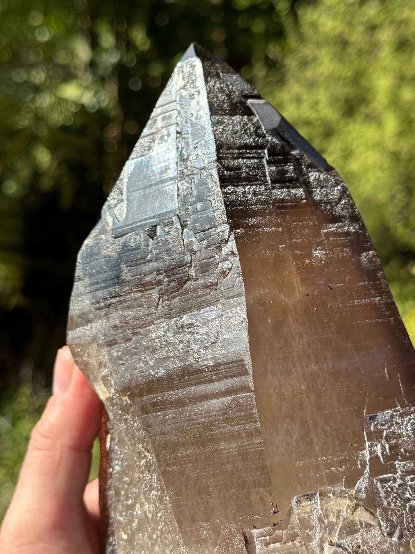 Natural Smoky Morion Quartz