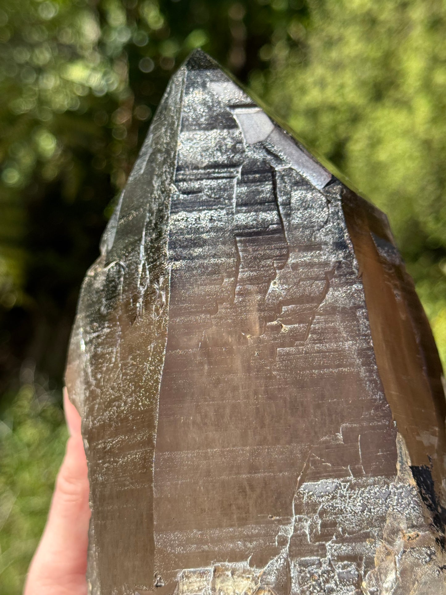 Natural Smoky Morion Quartz