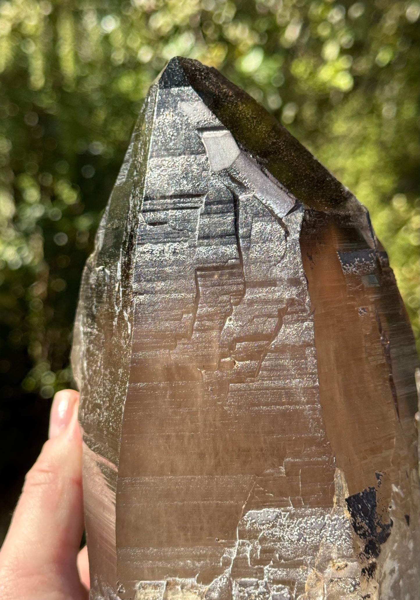 Natural Smoky Morion Quartz