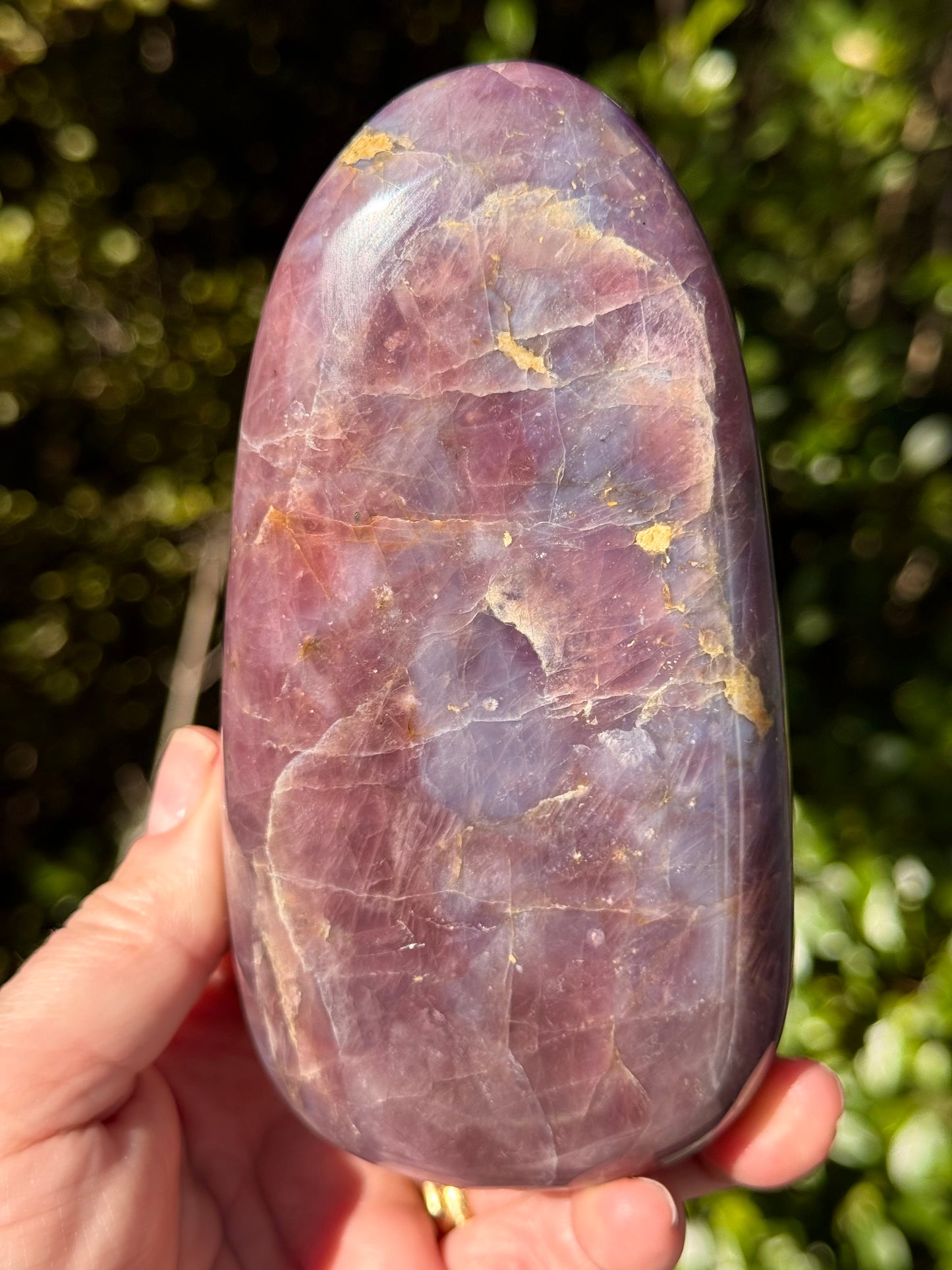 Lavender, Blue Rose Quartz Freeform