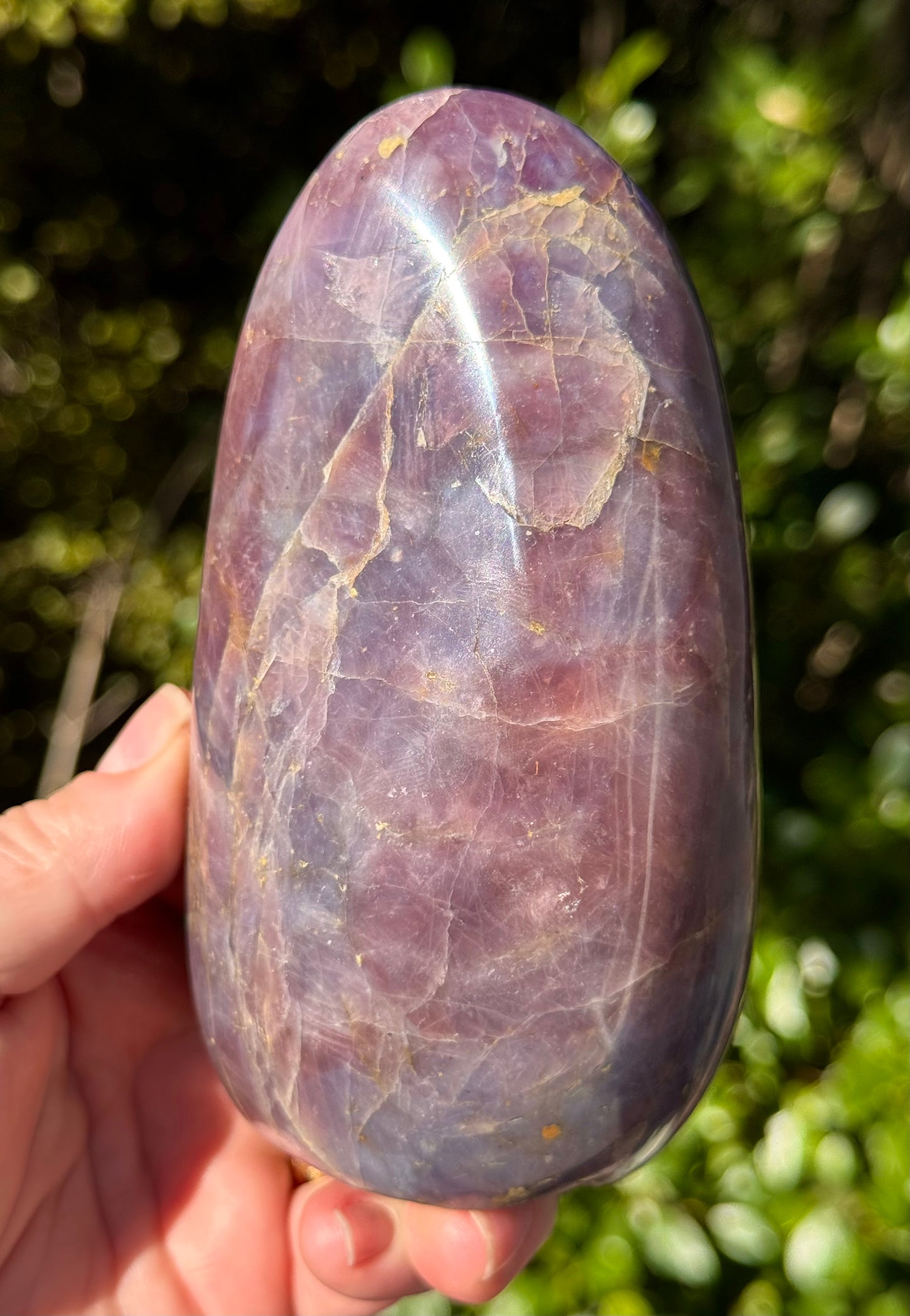 Lavender, Blue Rose Quartz Freeform