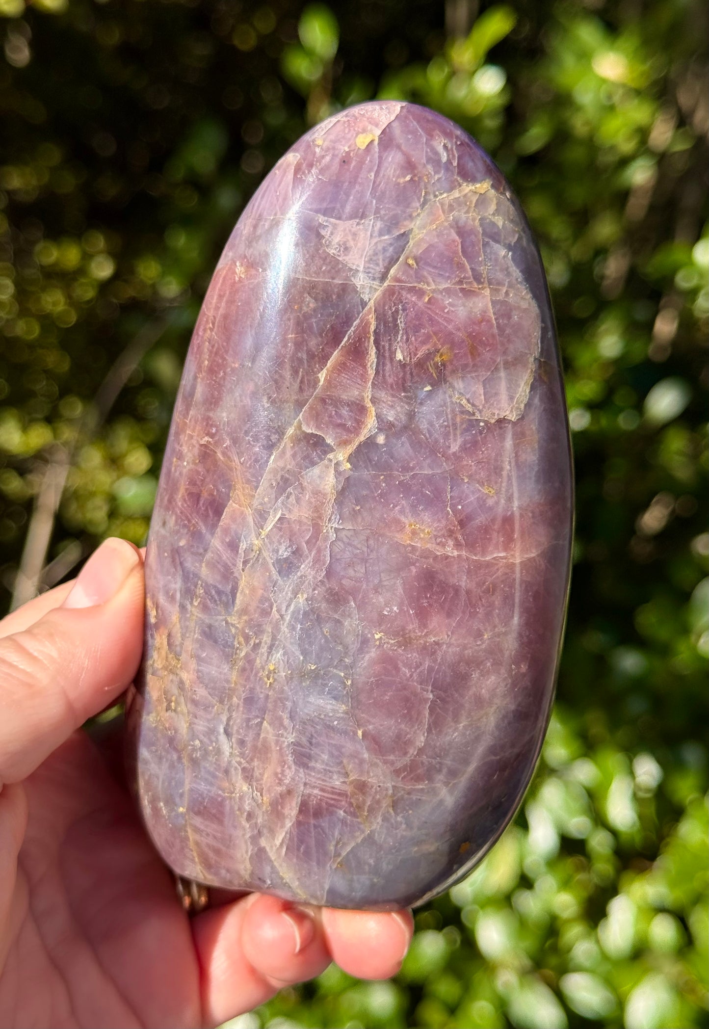 Lavender, Blue Rose Quartz Freeform