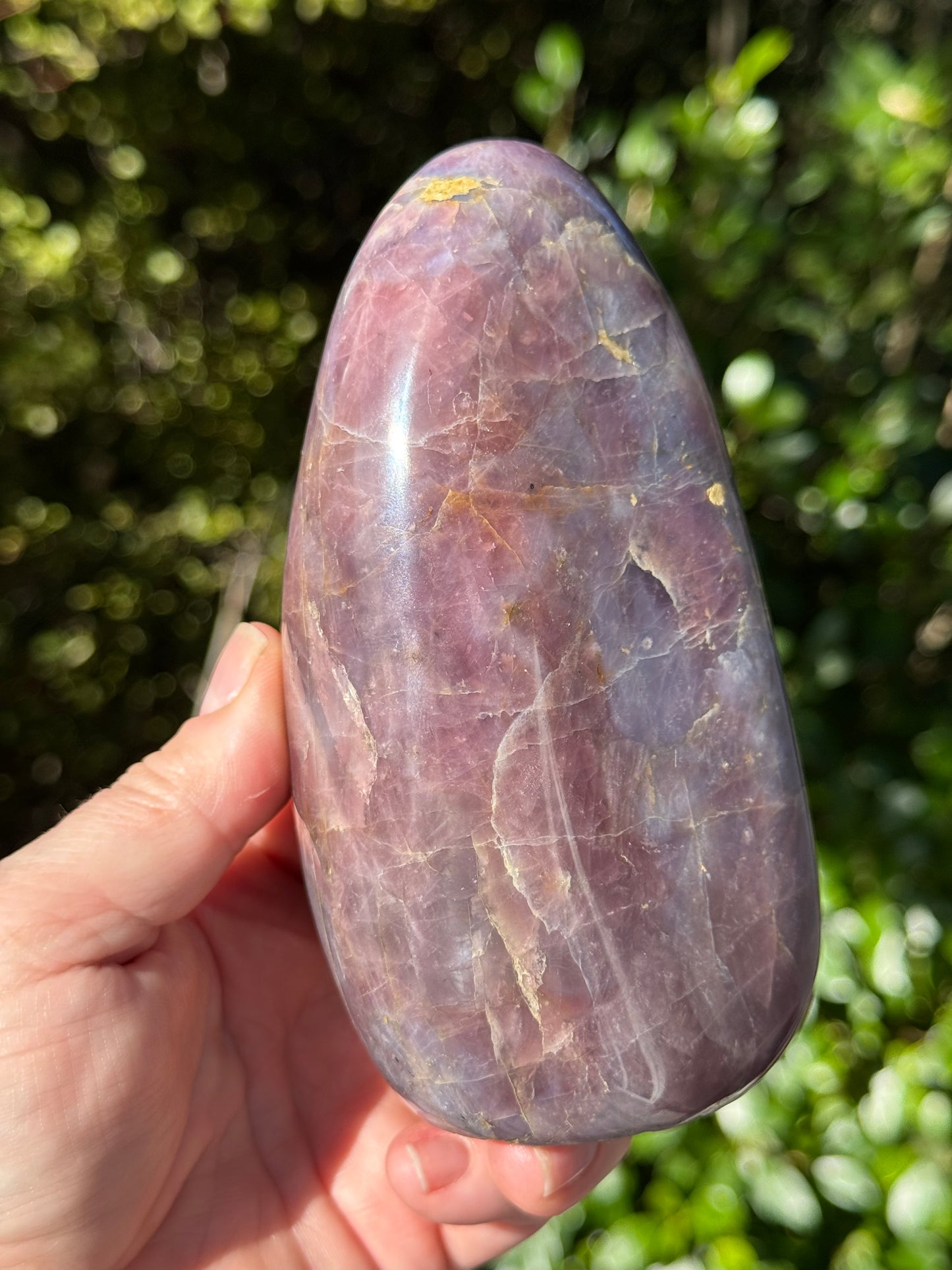 Lavender, Blue Rose Quartz Freeform