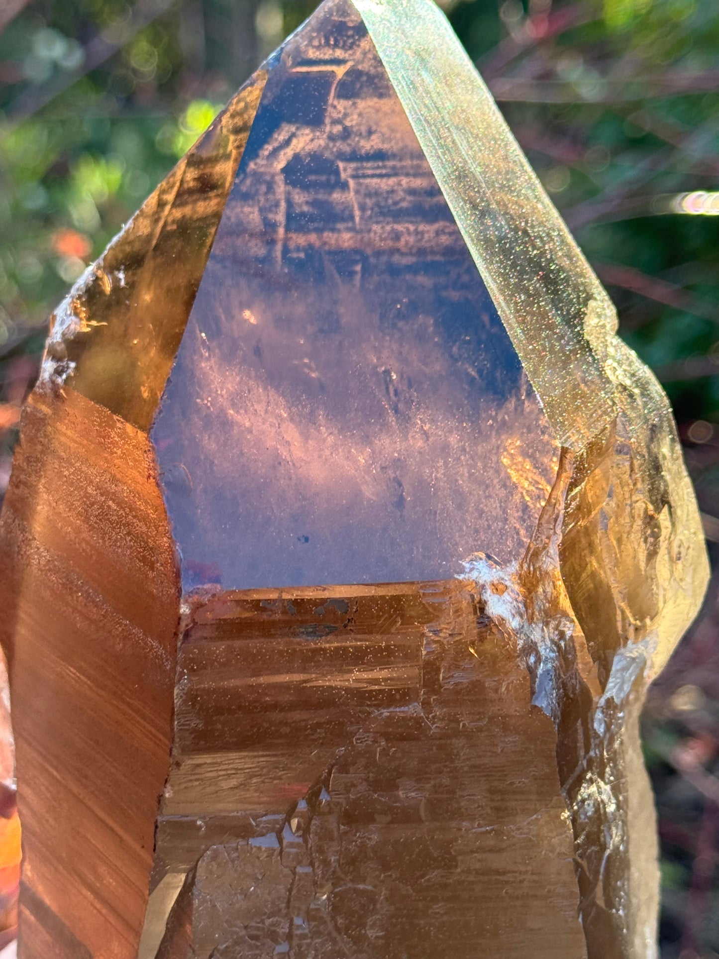 Natural Smoky Morion Quartz