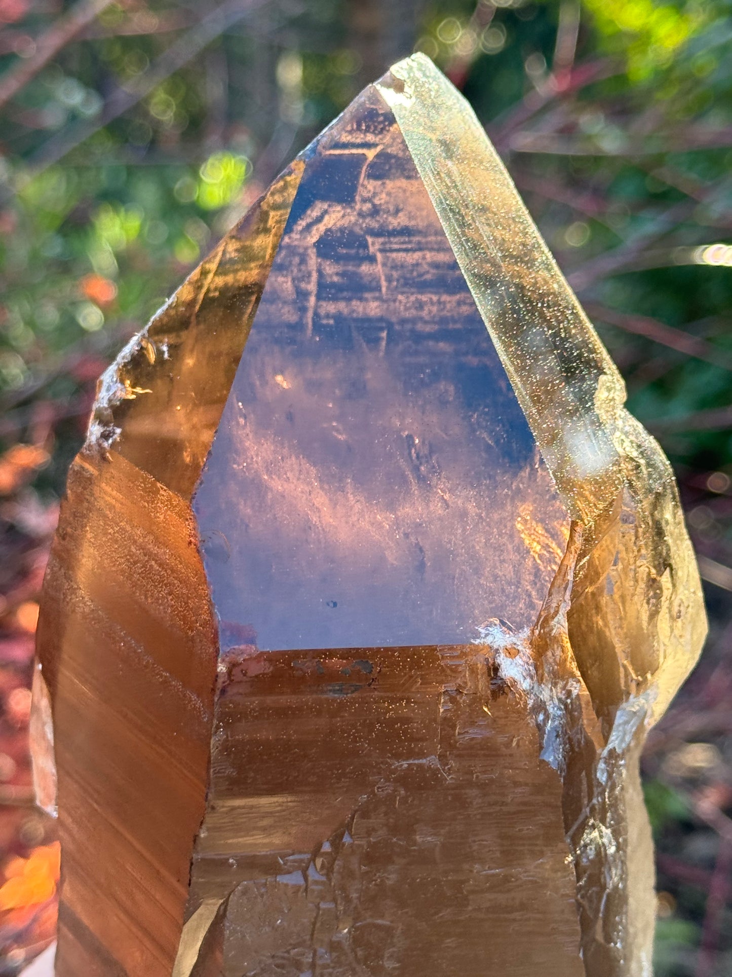 Natural Smoky Morion Quartz
