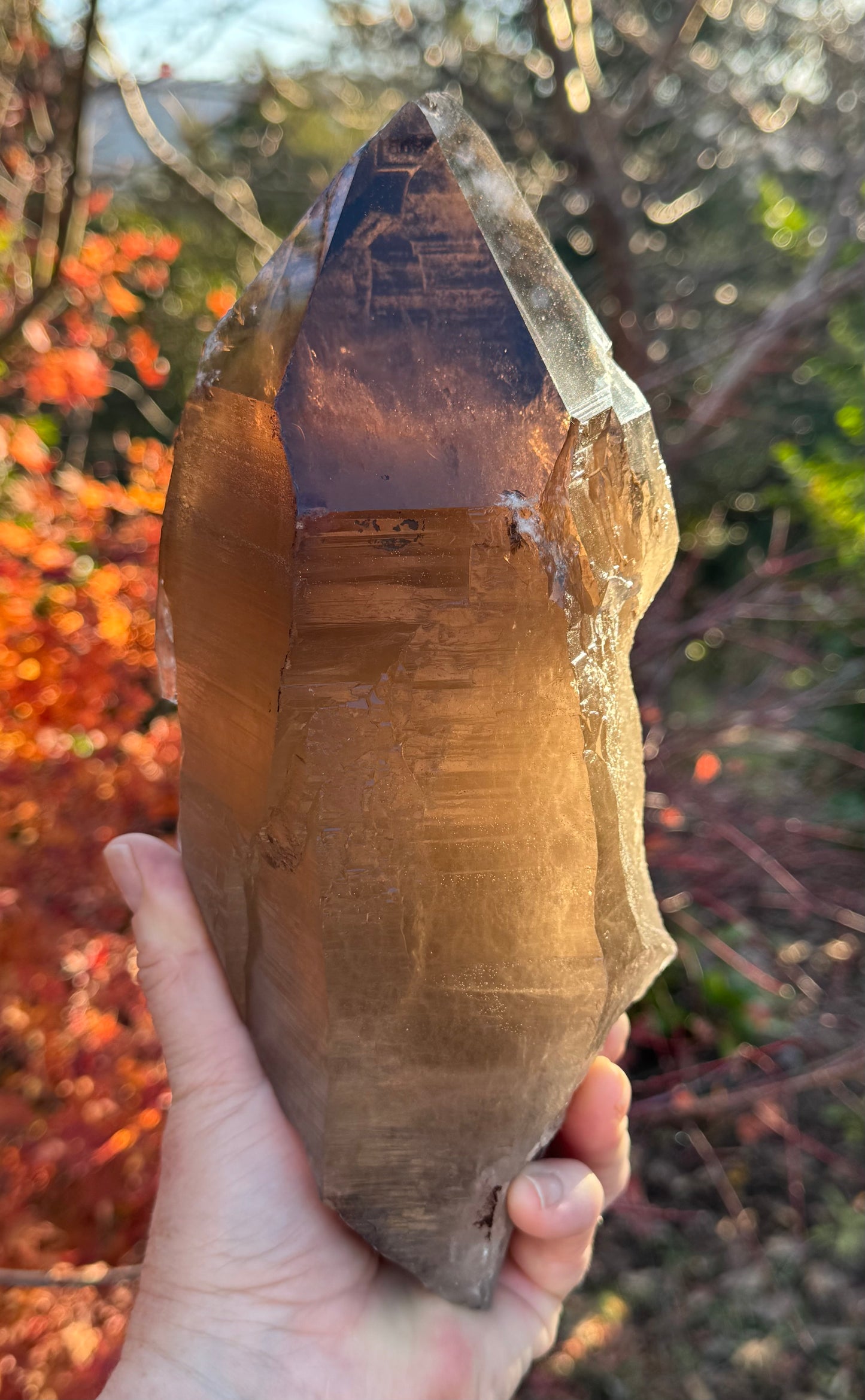 Natural Smoky Morion Quartz