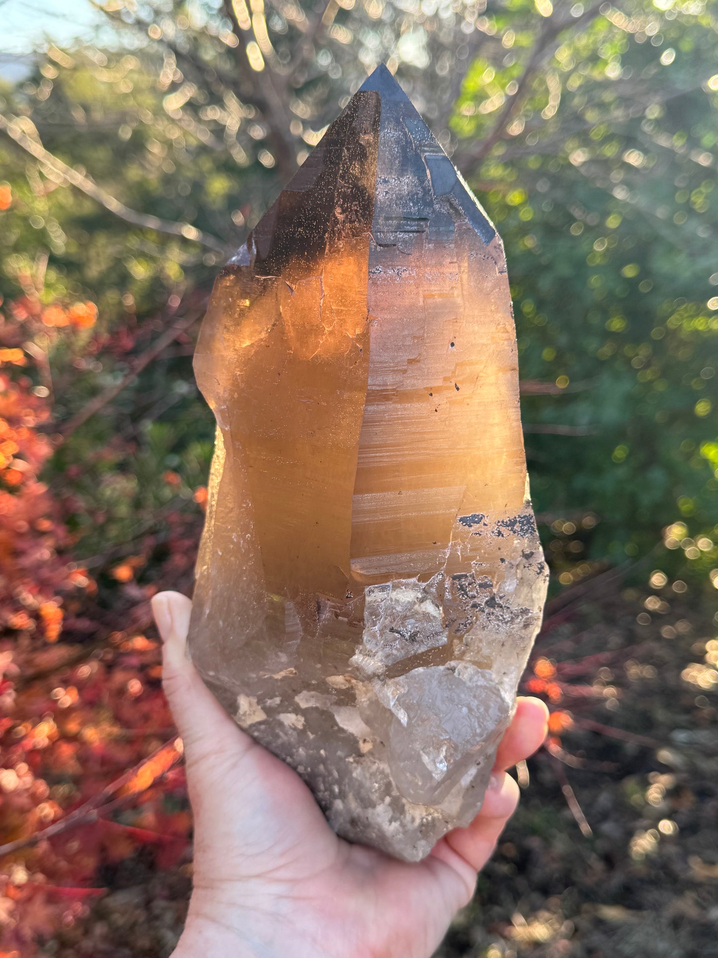 Natural Smoky Morion Quartz