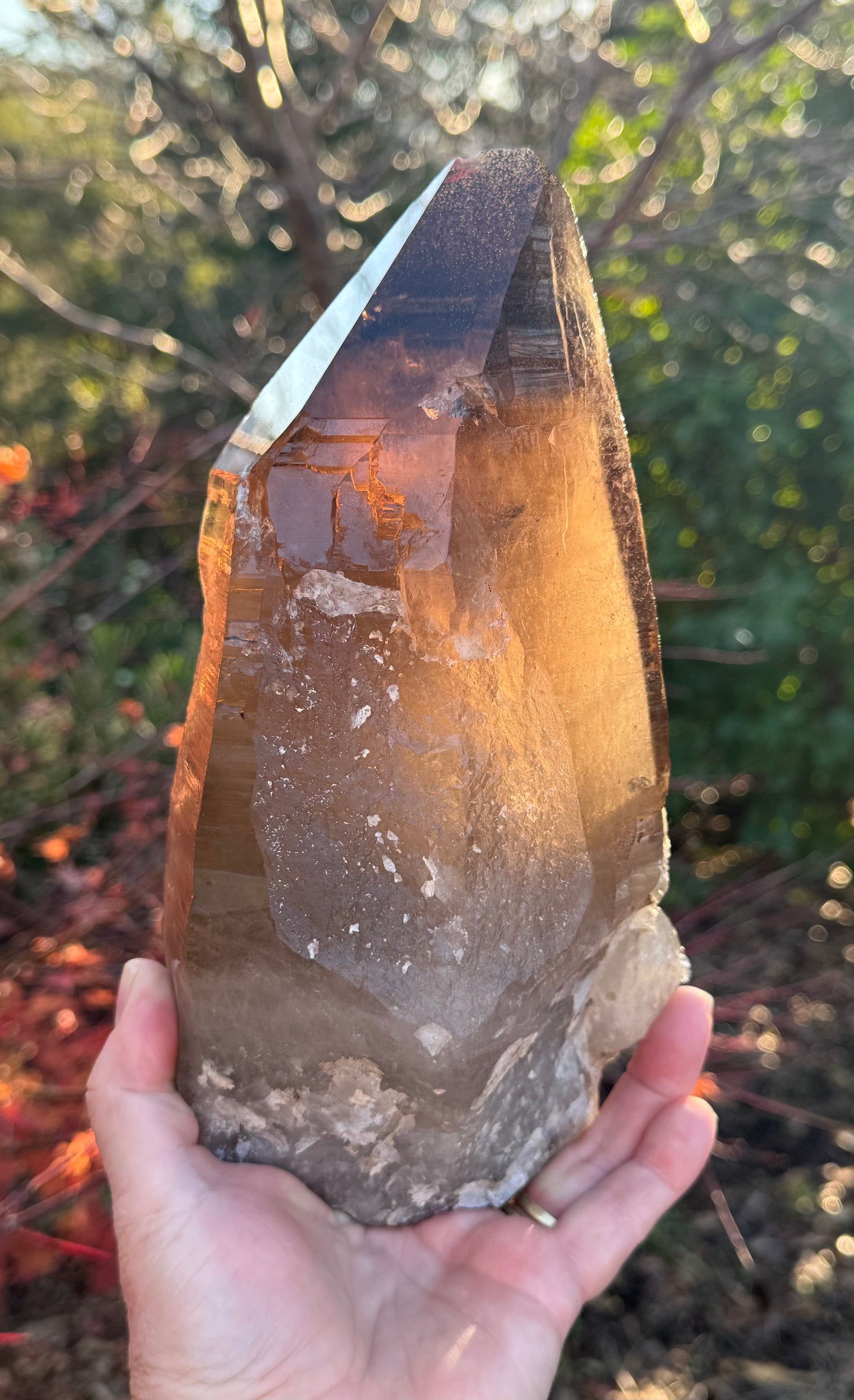 Natural Smoky Morion Quartz