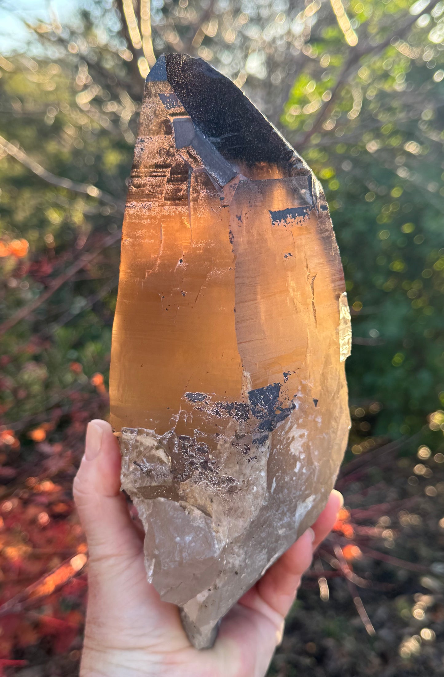 Natural Smoky Morion Quartz