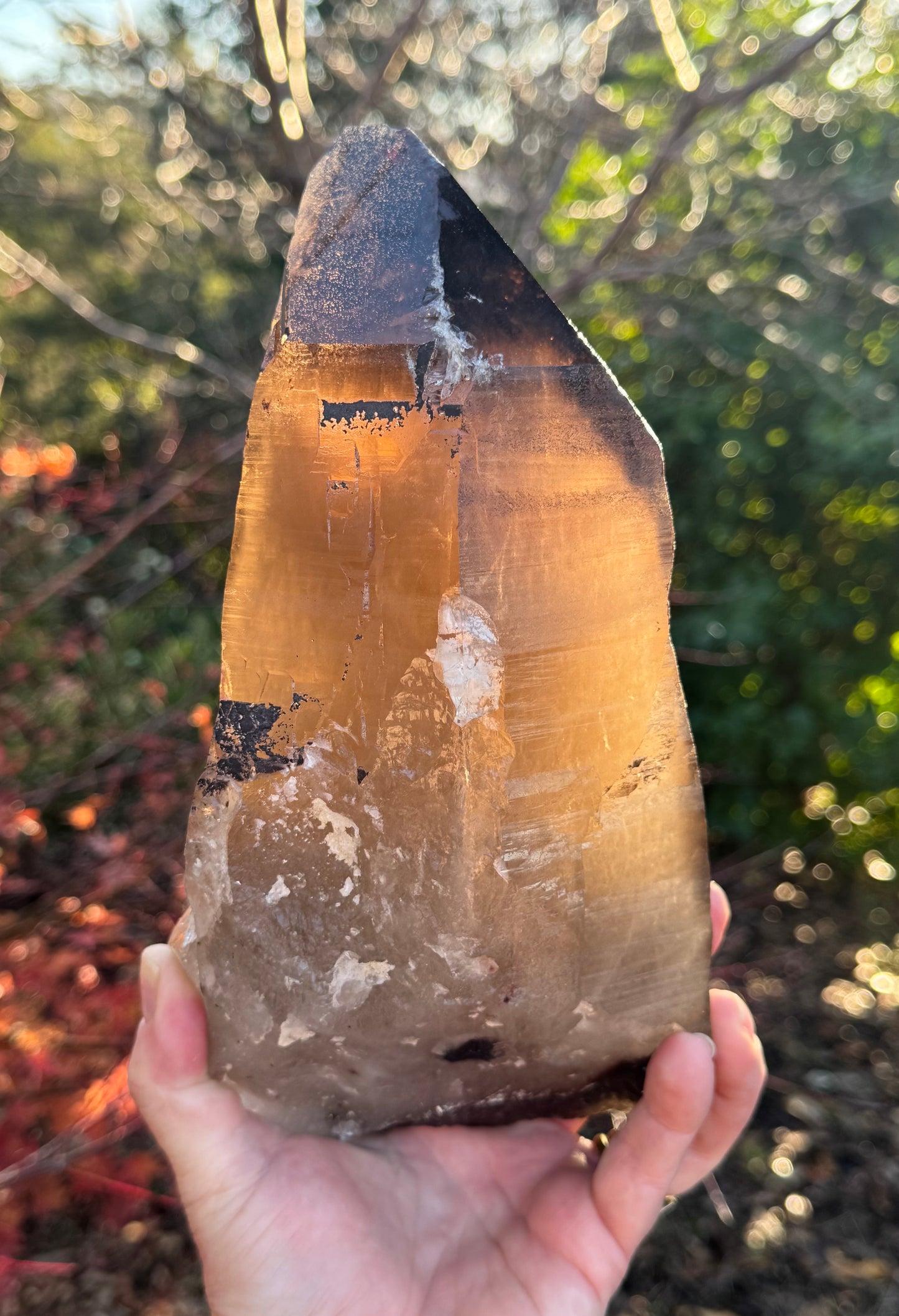 Natural Smoky Morion Quartz