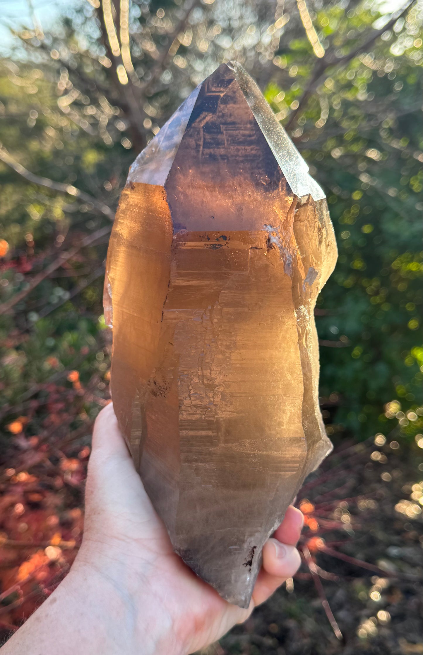 Natural Smoky Morion Quartz