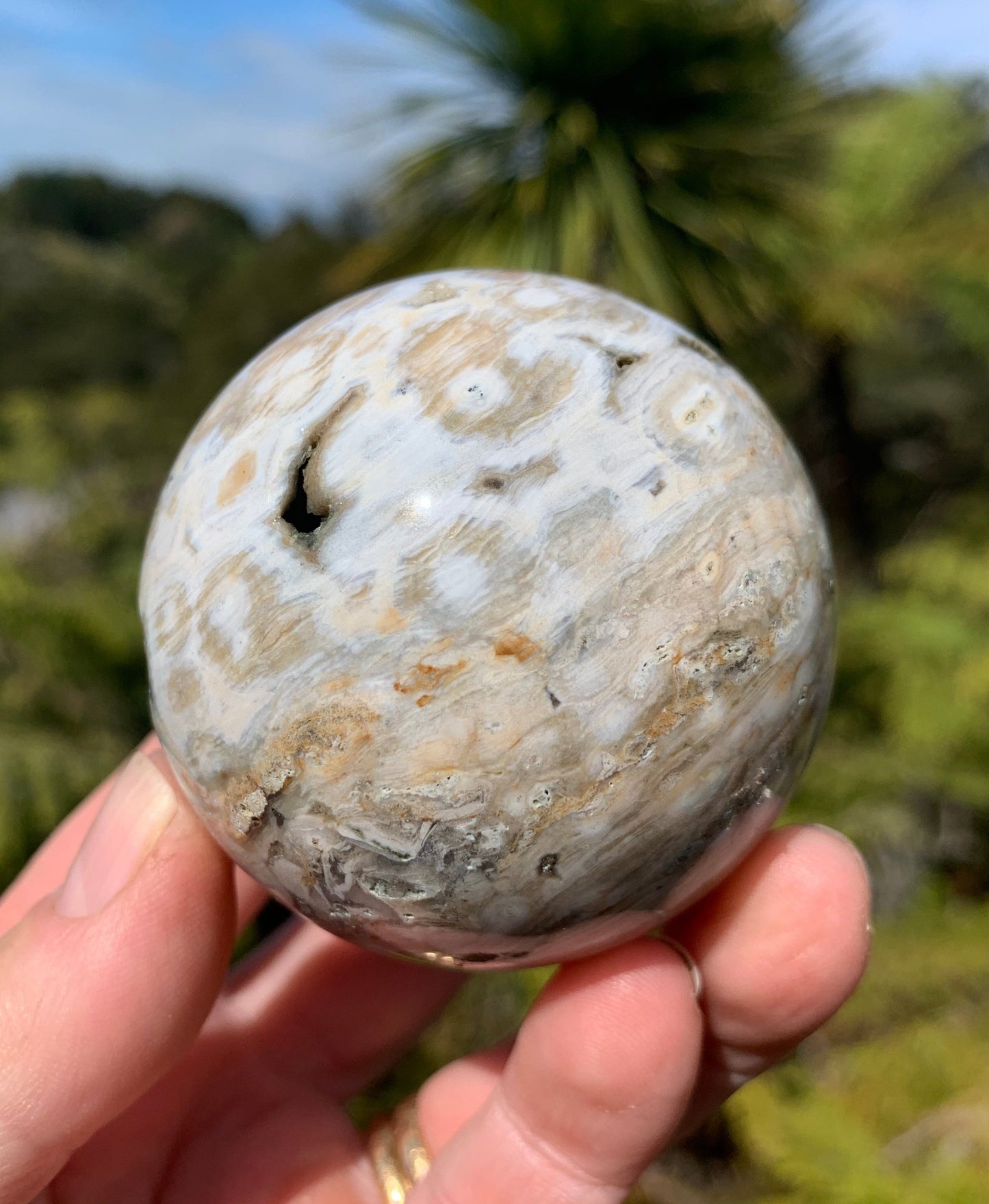 Orbicular Ocean Jasper Sphere