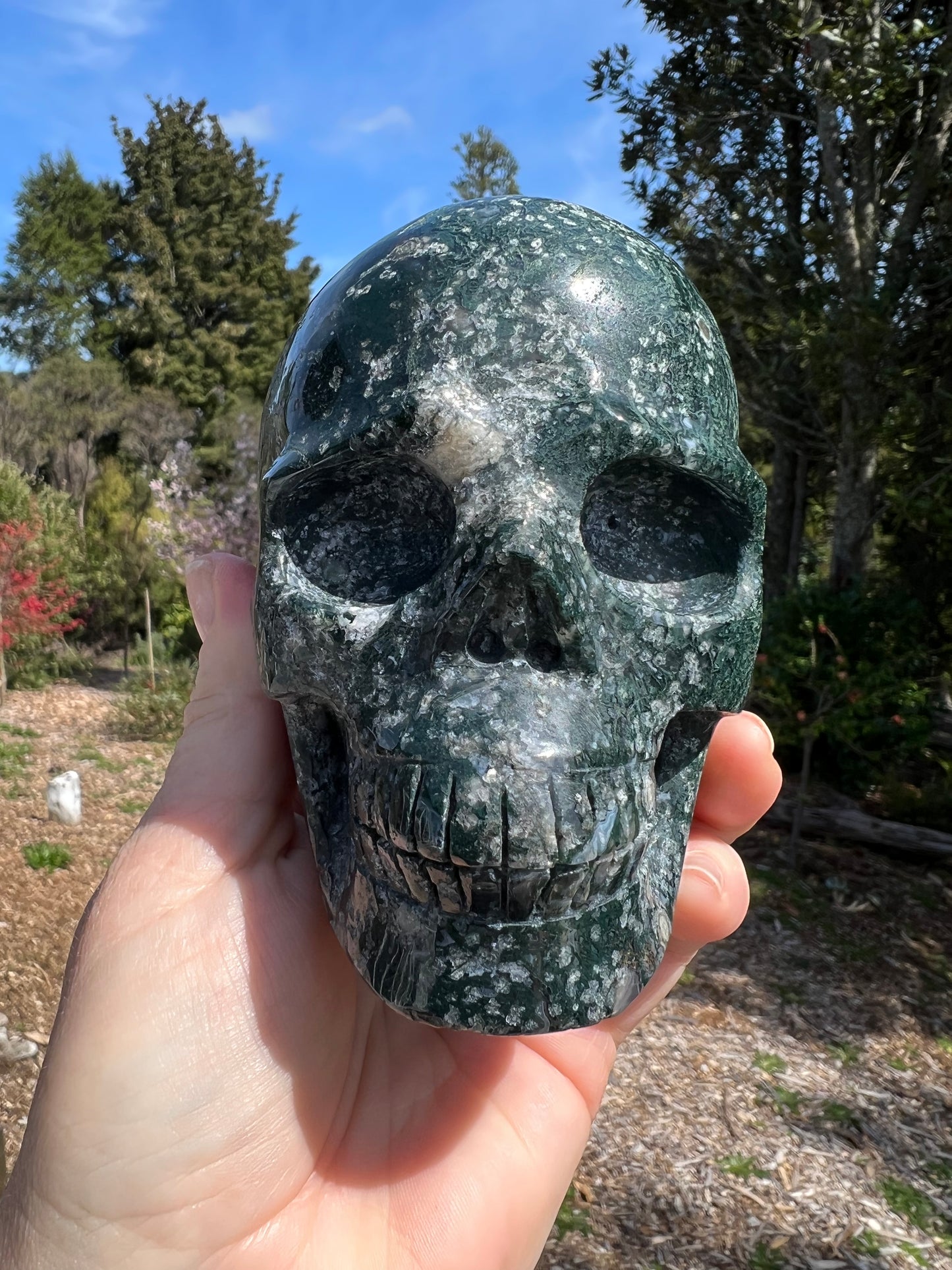 Moss Agate Carved Skull