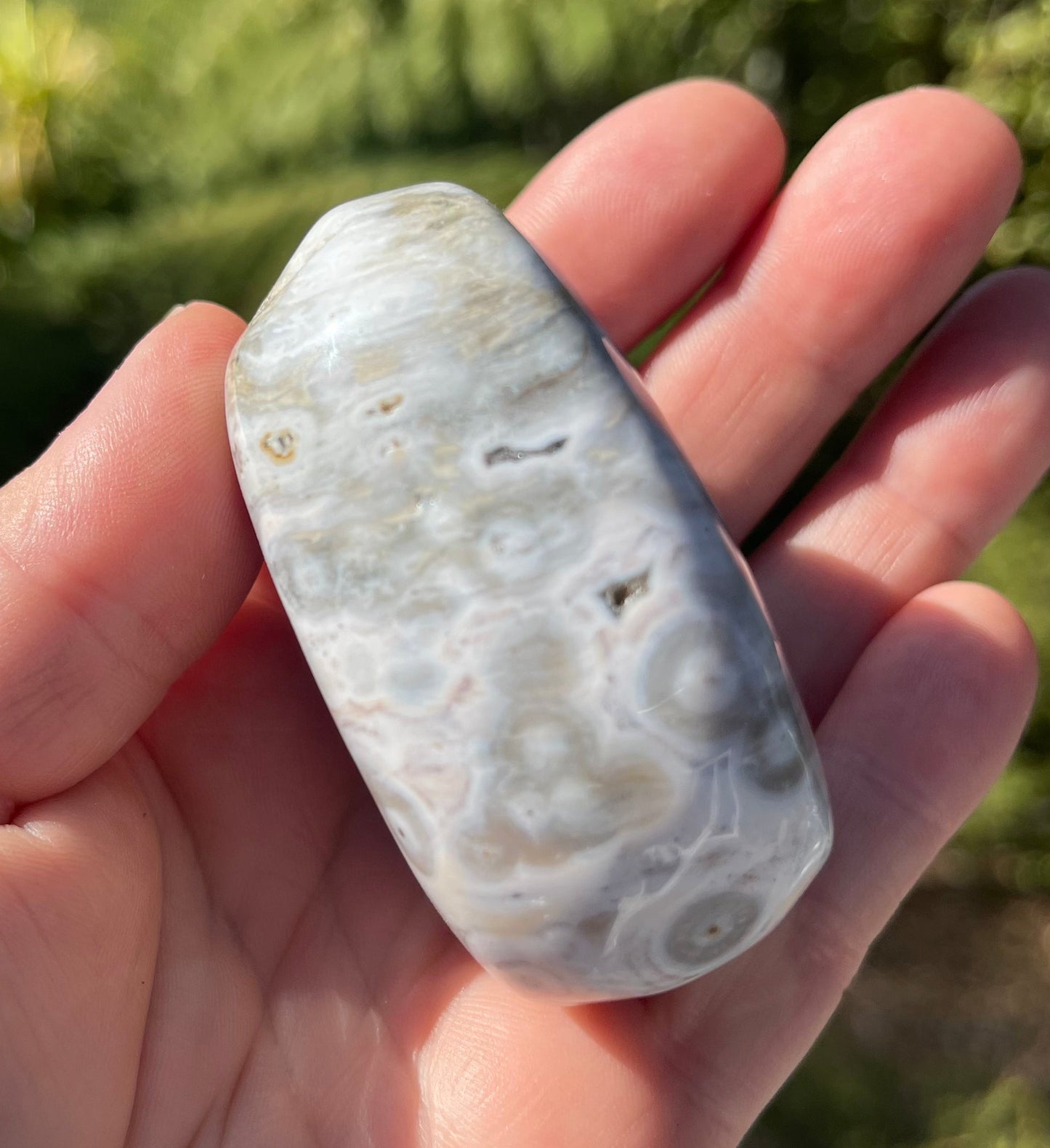 Orbicular Ocean Jasper Palm Stone