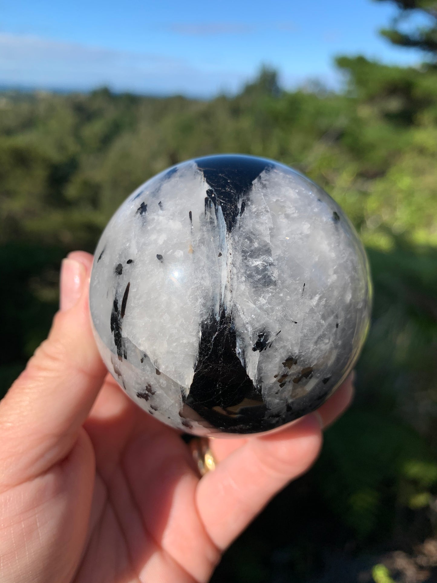 Black Tourmaline in Quartz Sphere
