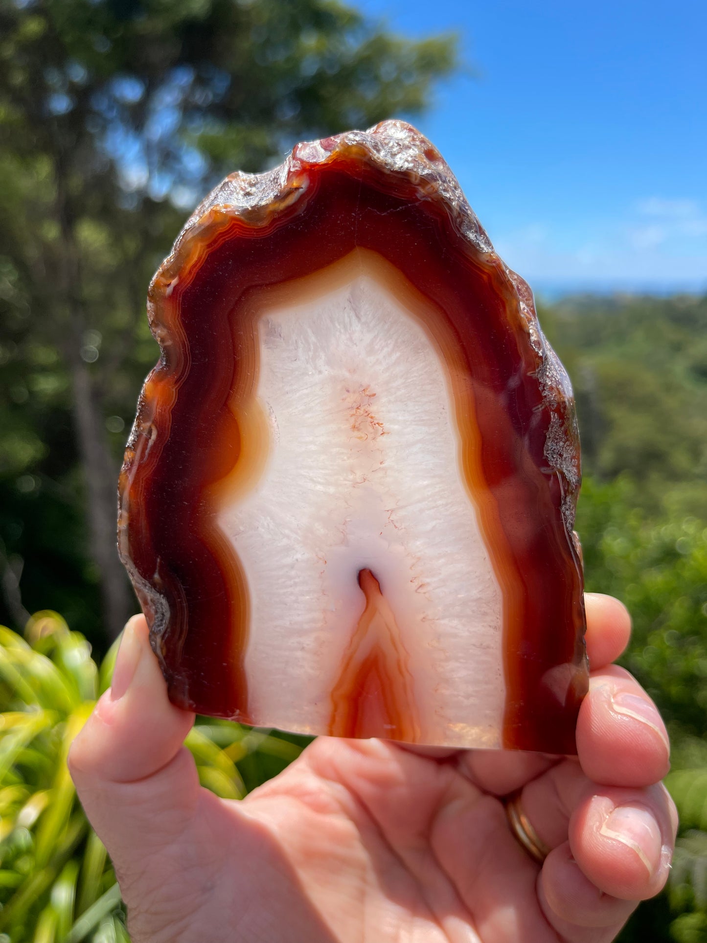 Carnelian Agate Slice