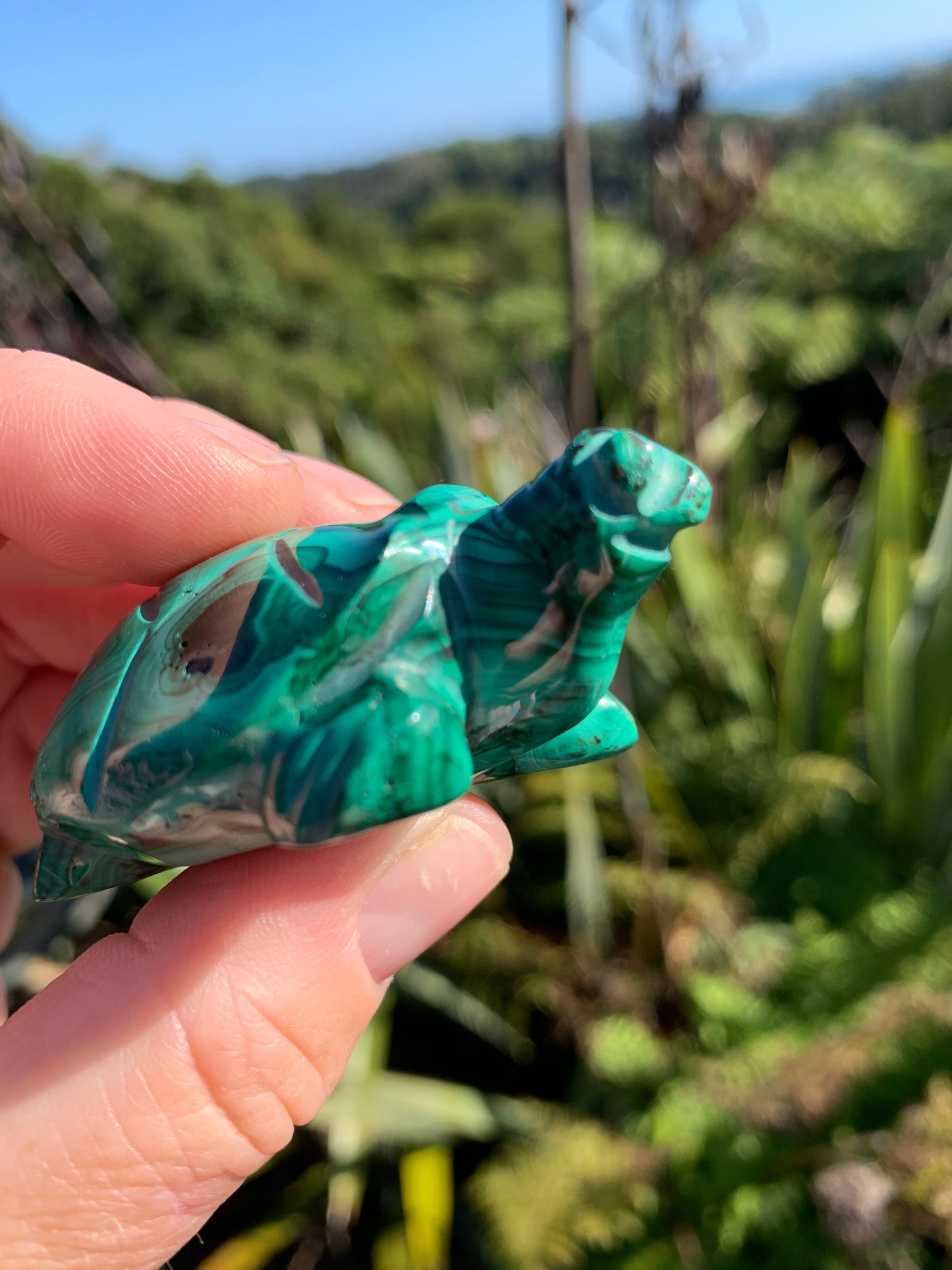 Malachite Carved Turtle