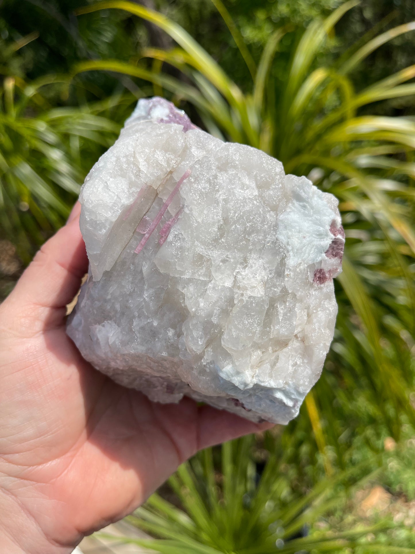 Pink Tourmaline, lepidolite and Muscovite in Quartz