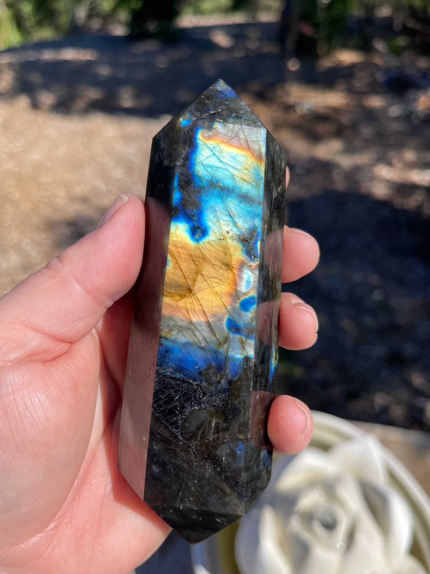 Labradorite Double Terminated Point