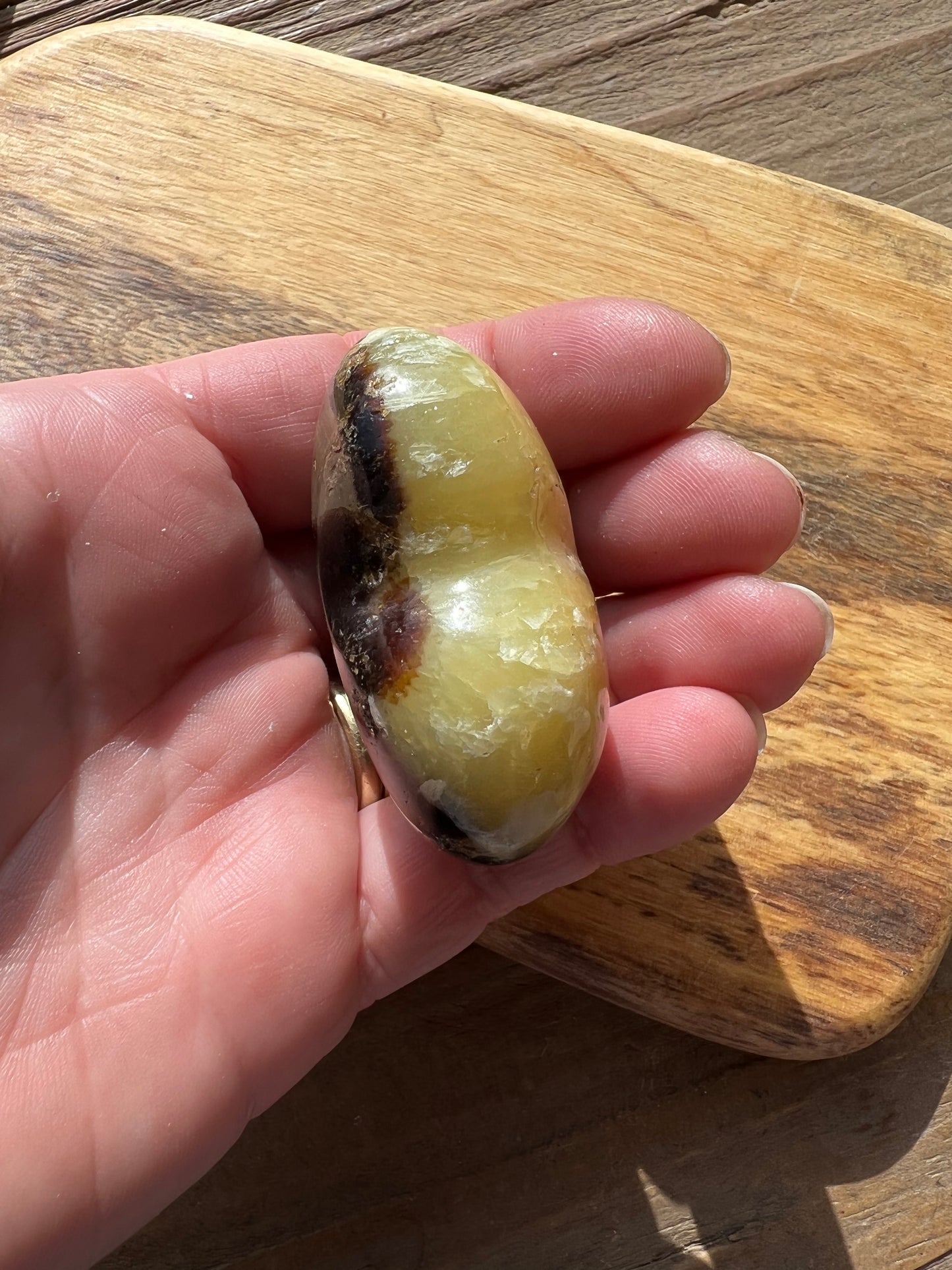 Septarian/Dragons Stone Heart