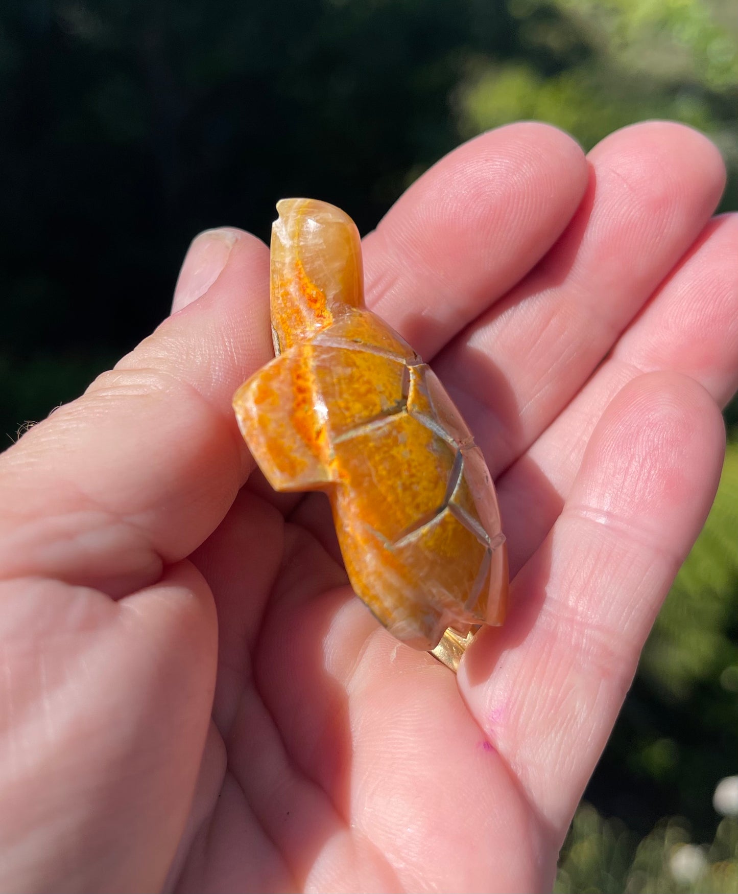 Bumblebee Jasper Carved Stone Turtle