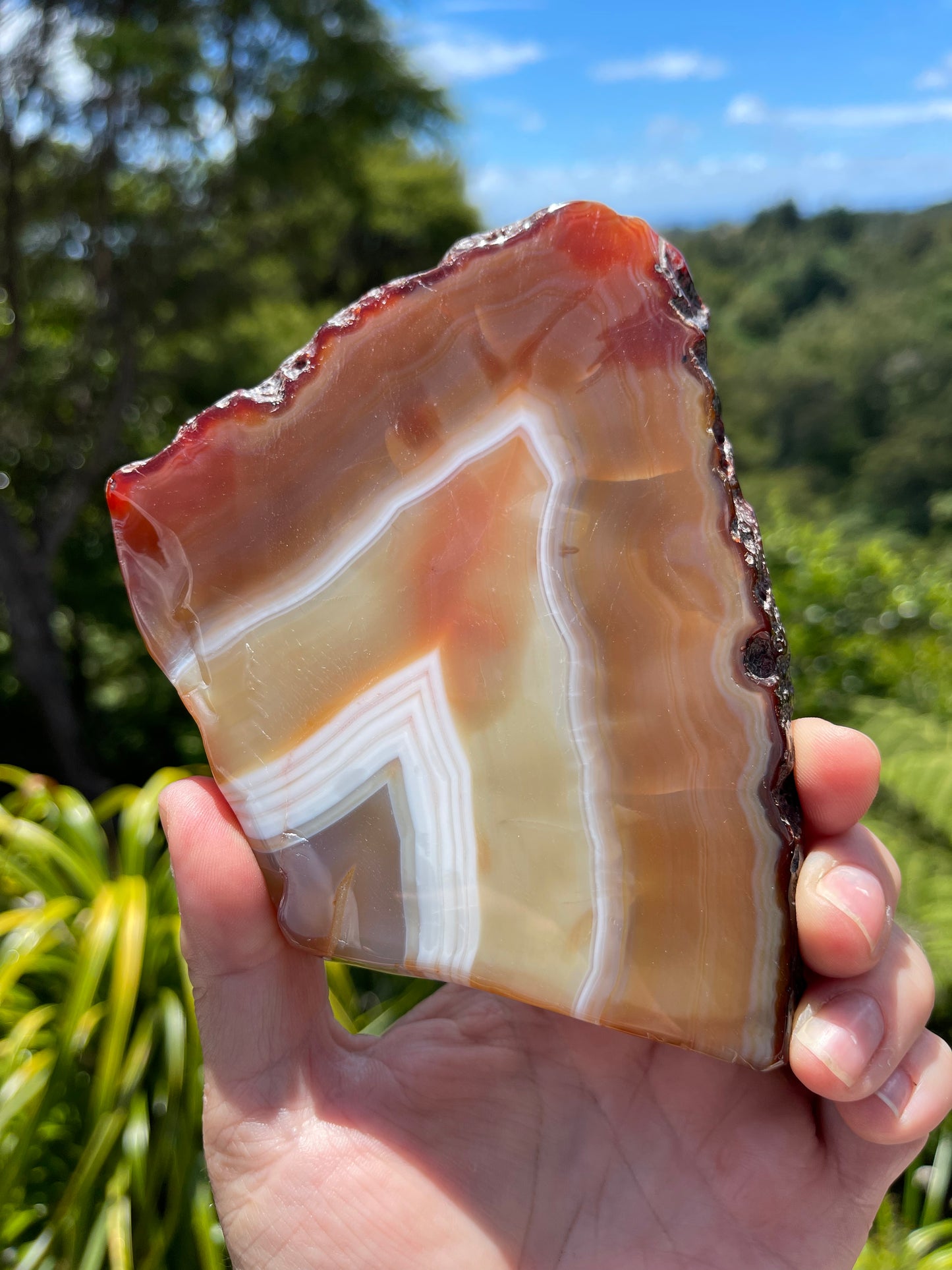 Carnelian Agate Slice
