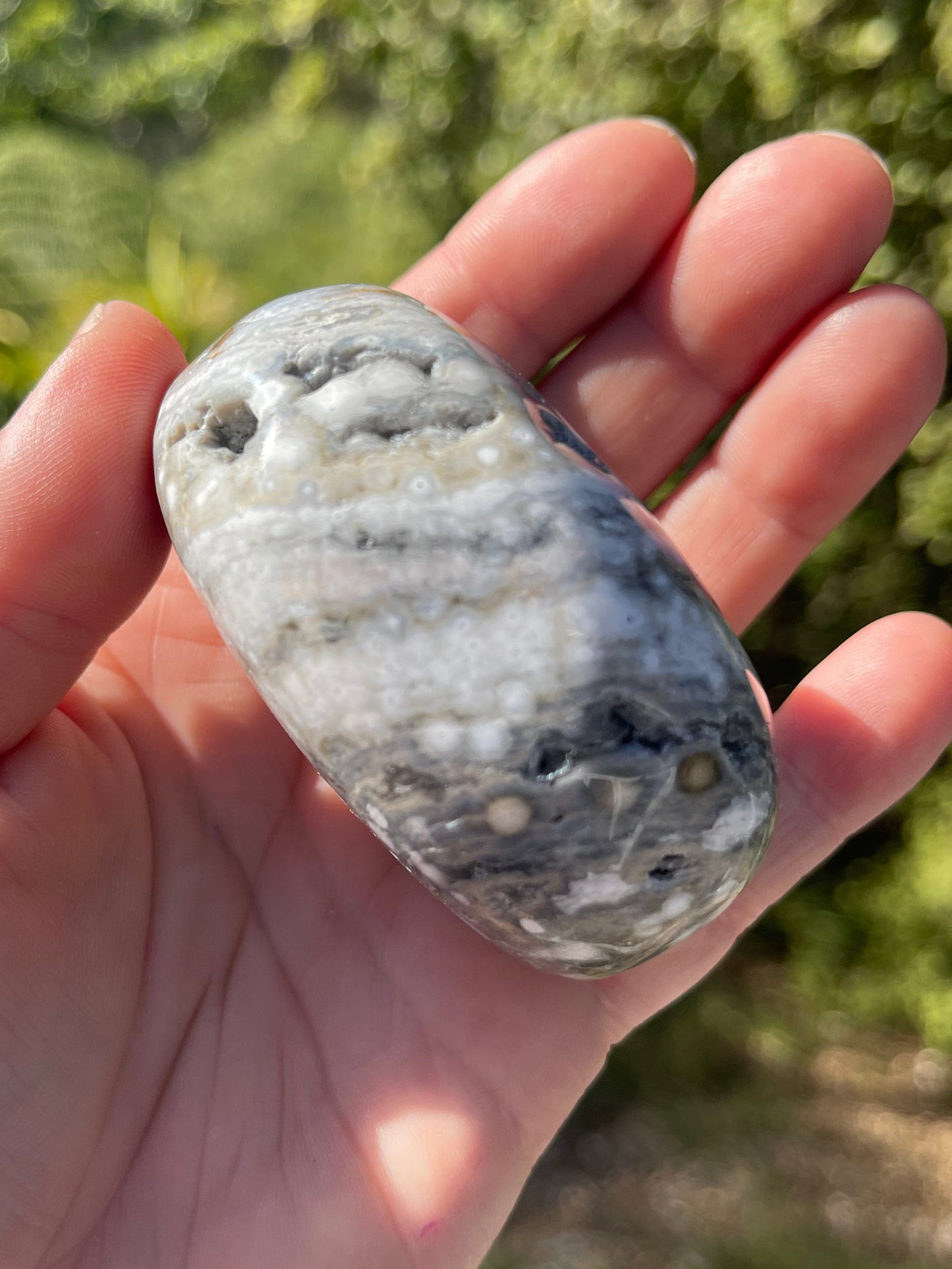 Orbicular Ocean Jasper Palm Stone