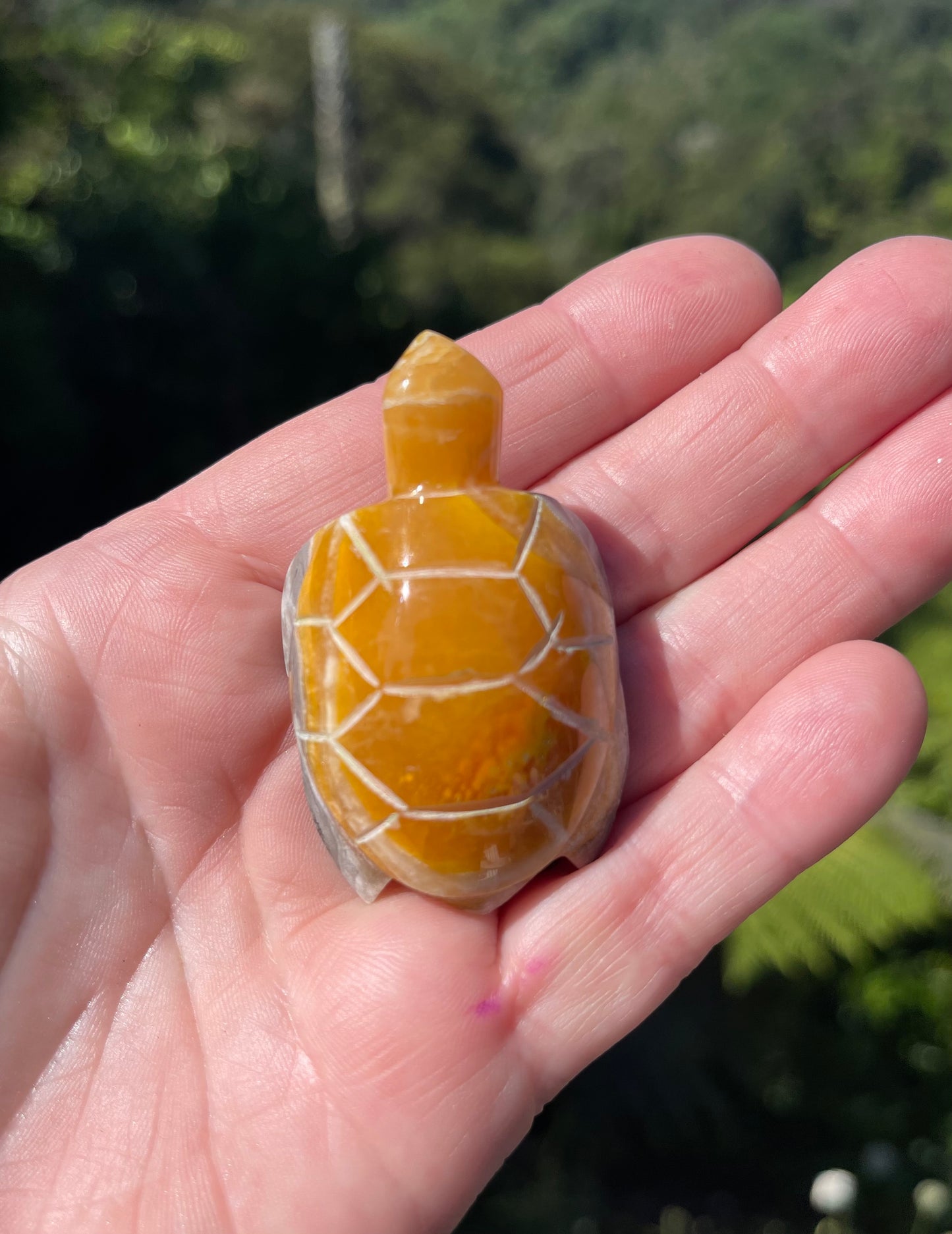 Bumblebee Jasper carved stone Turtle