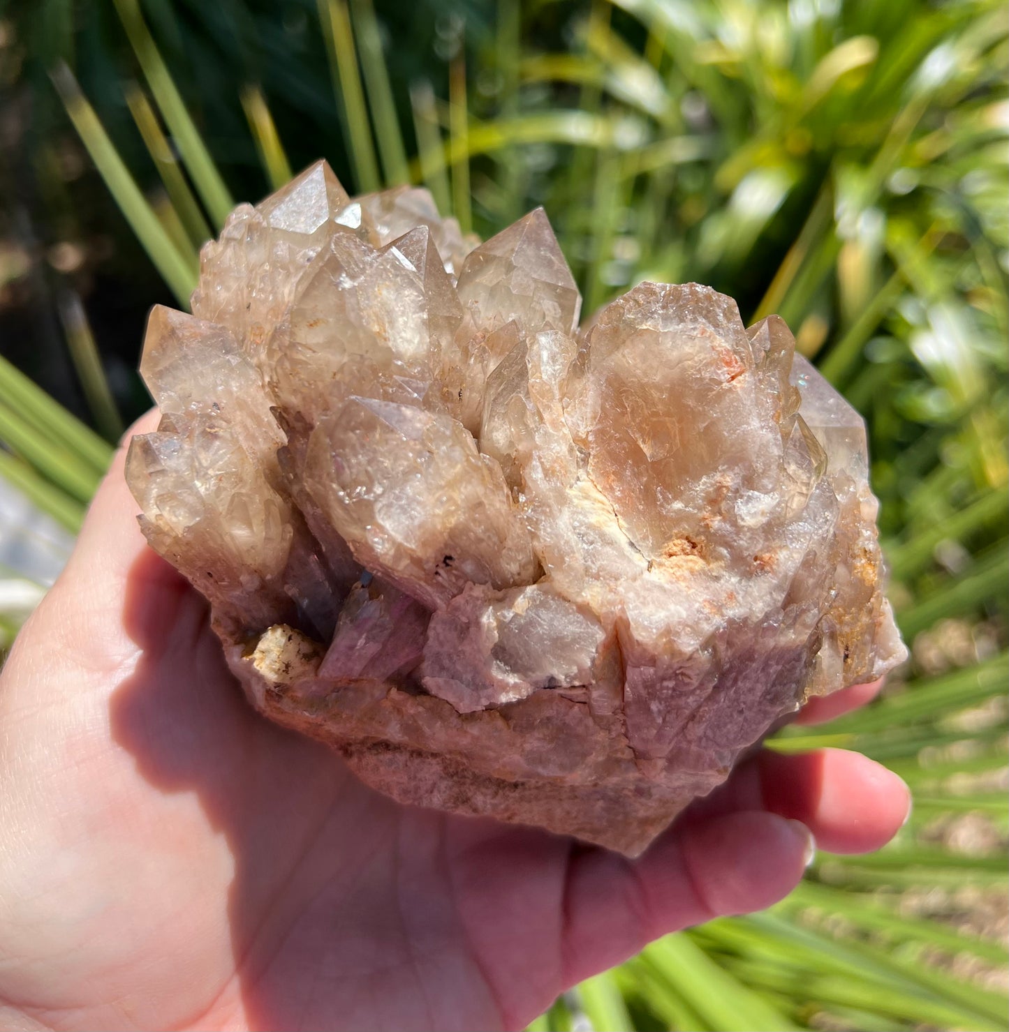 Kundalini Smoky Citrine Cluster