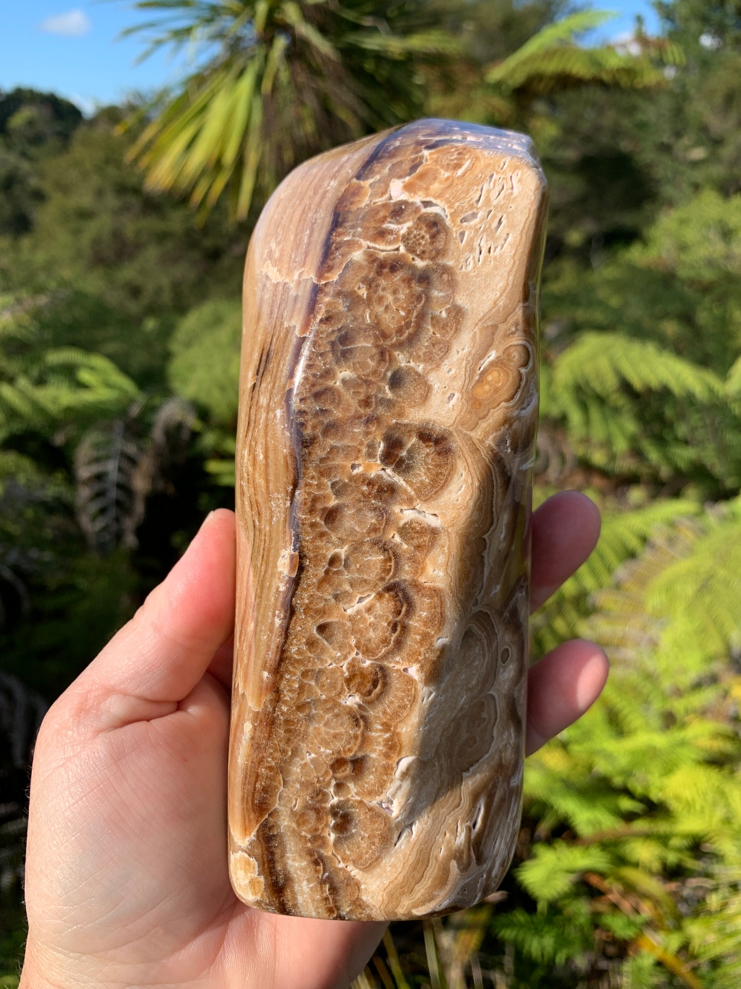 Chocolate Calcite Freeform