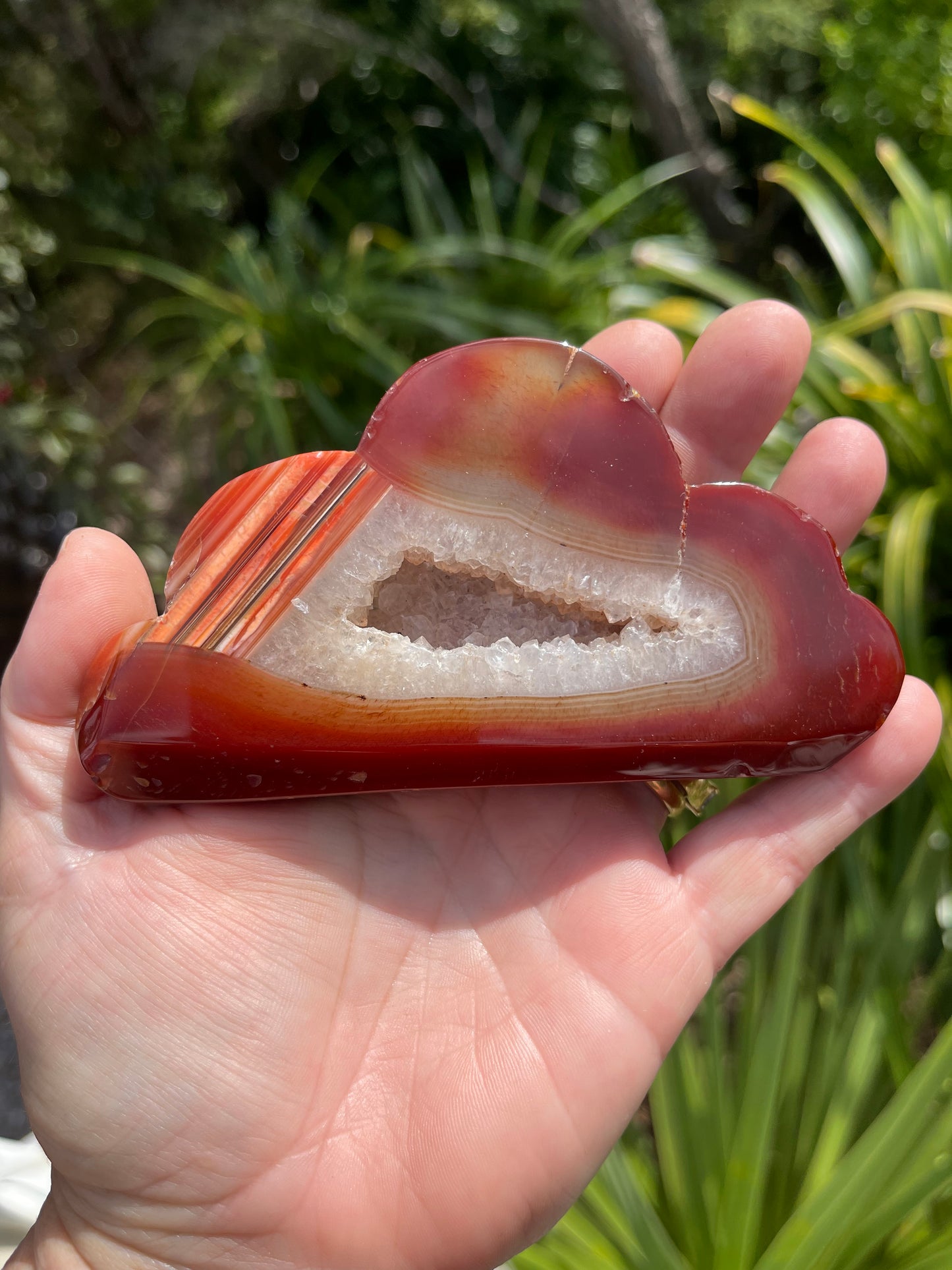 Carnelian Cloud