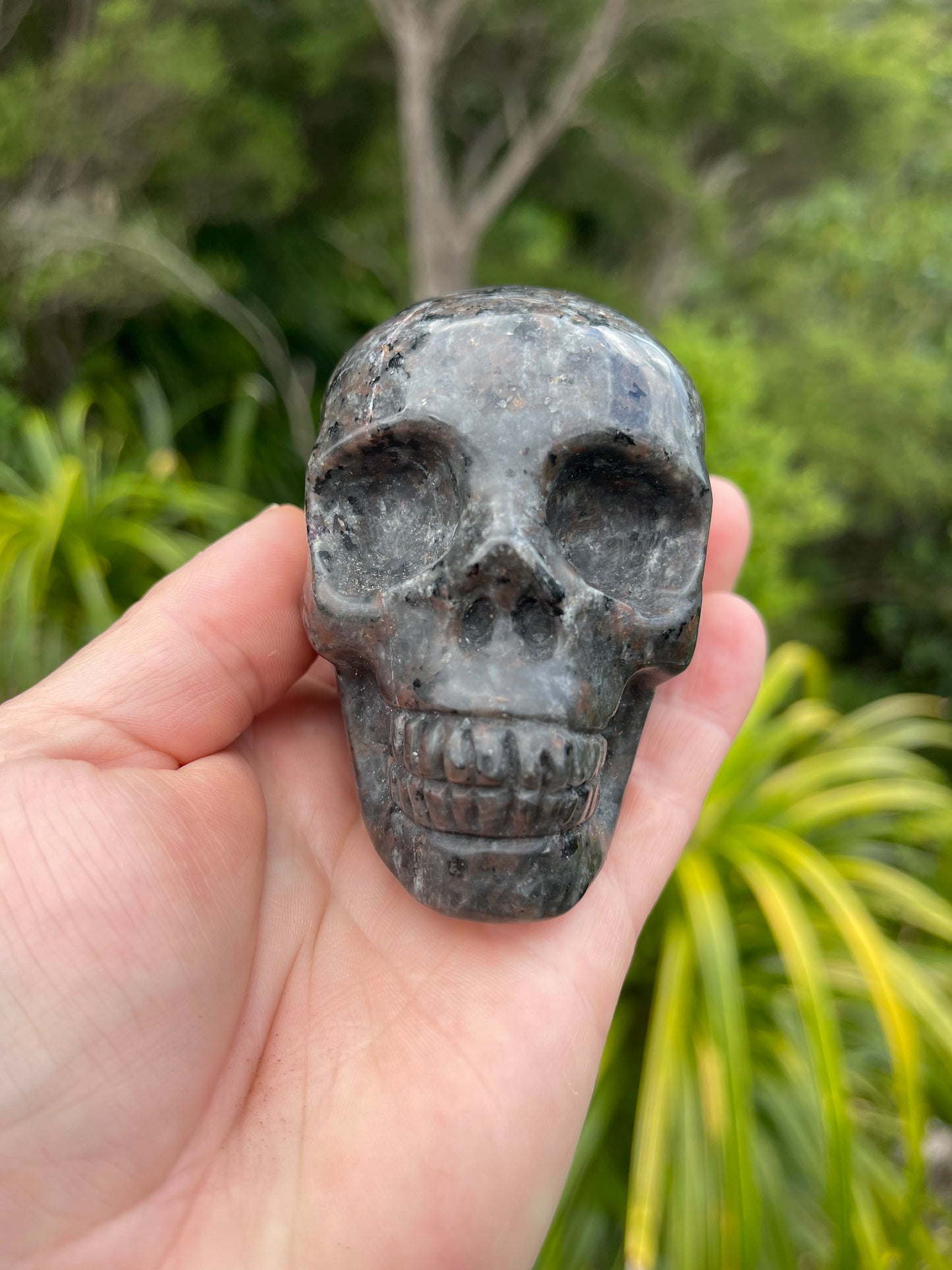 Yooperlite/Ultra Violet Sodalite Skull
