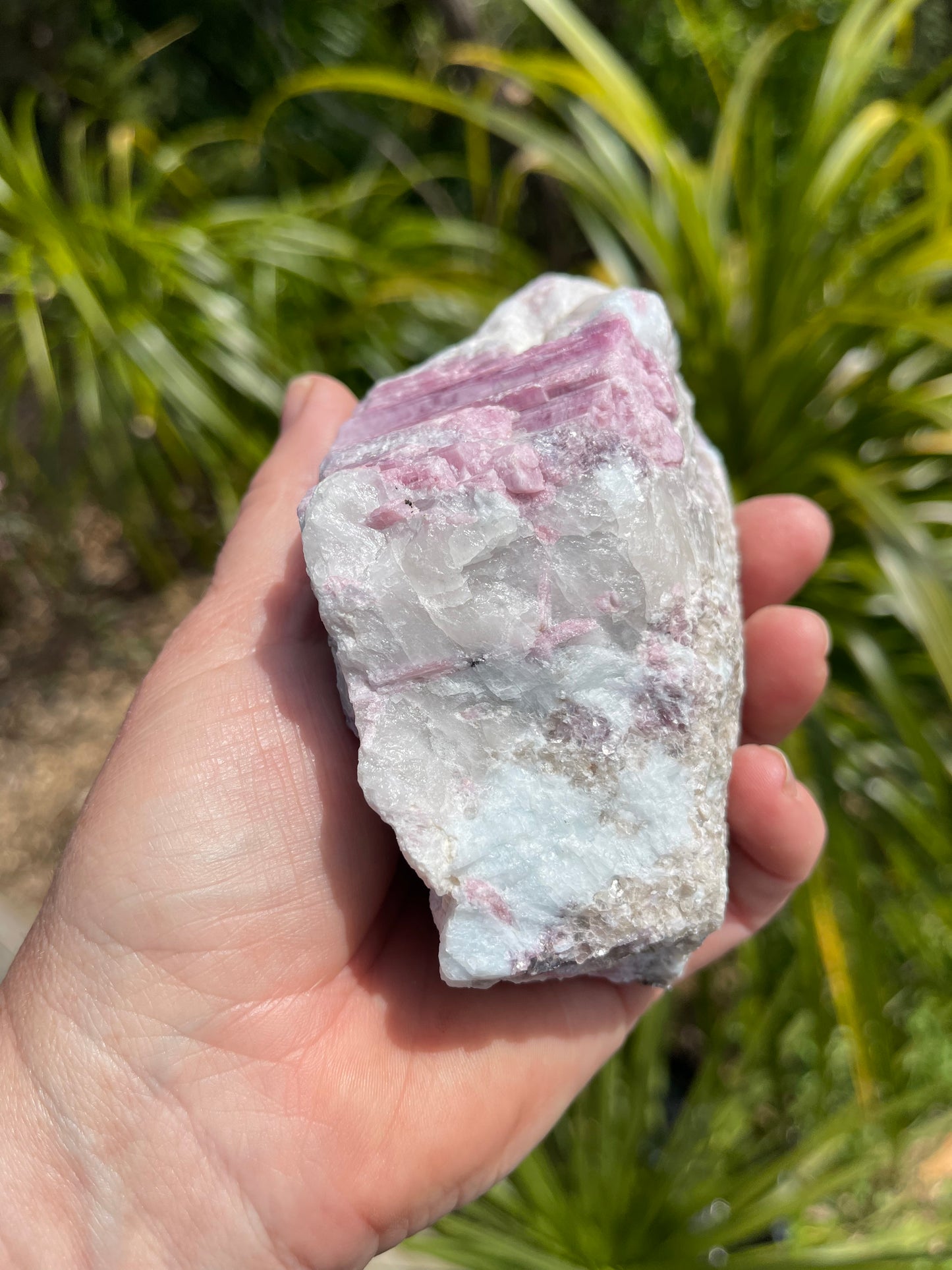 Pink Tourmaline, lepidolite and Muscovite in Quartz
