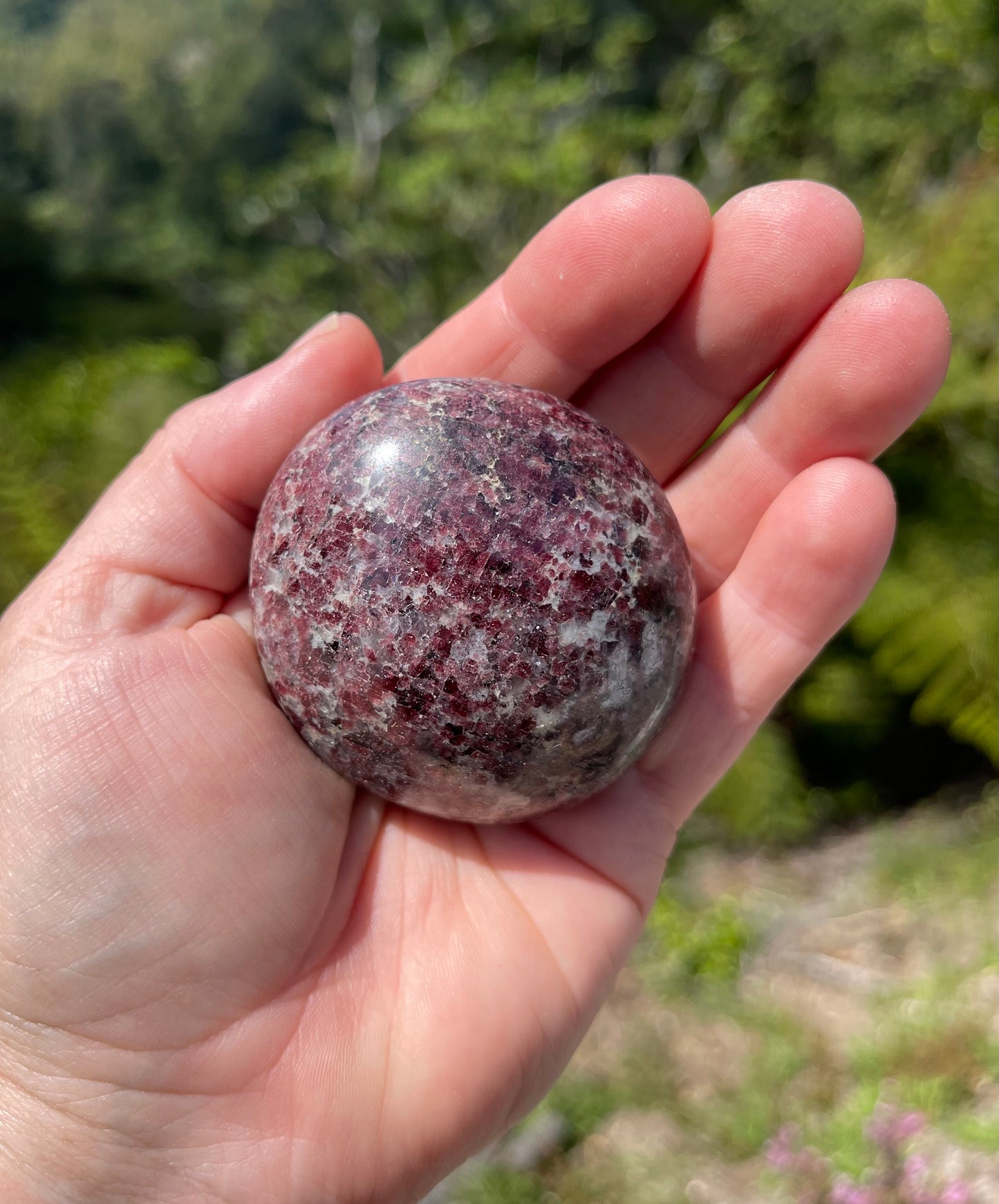 Garnet-Grenatite Puffy Palm Stone