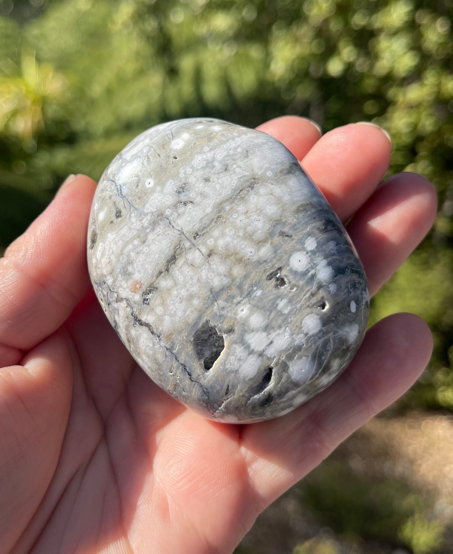 Orbicular Ocean Jasper Palm Stone